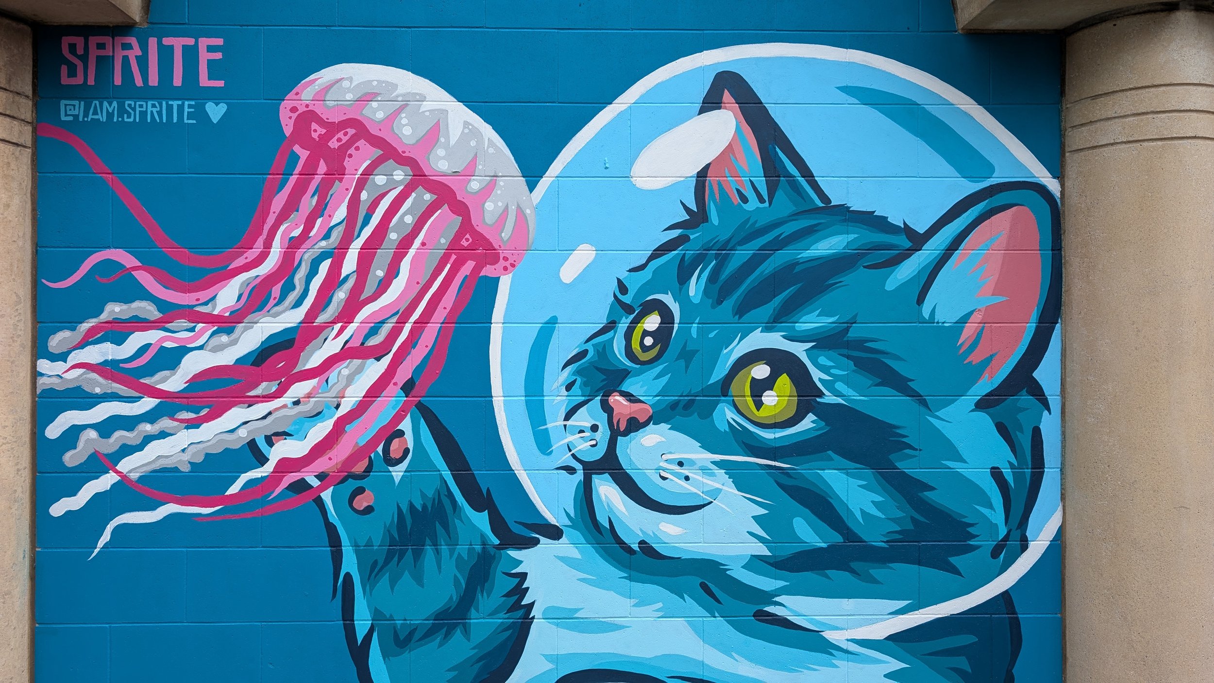 weston wallz 1.jpg