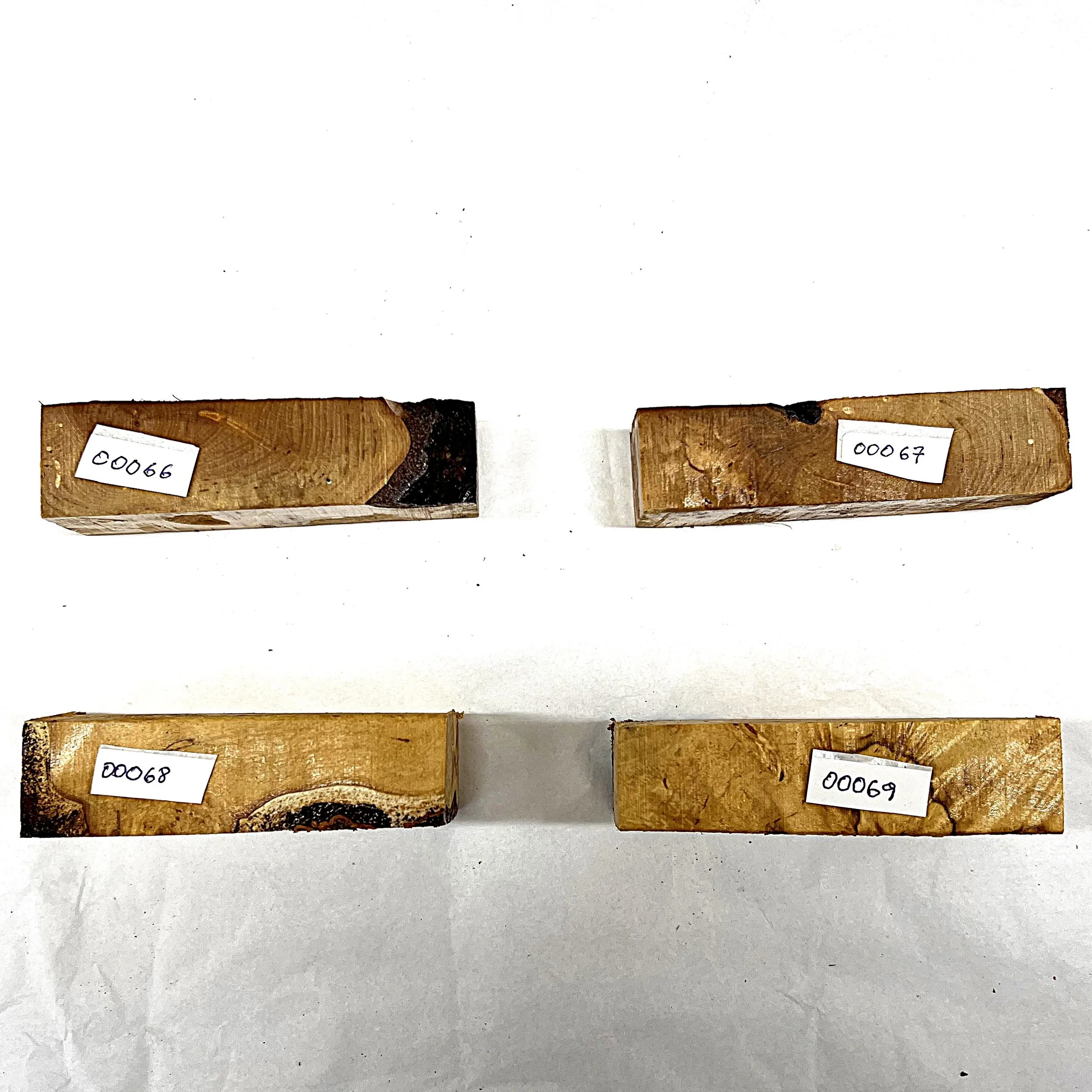 Bjørk 00066 - 00069  ii.JPG