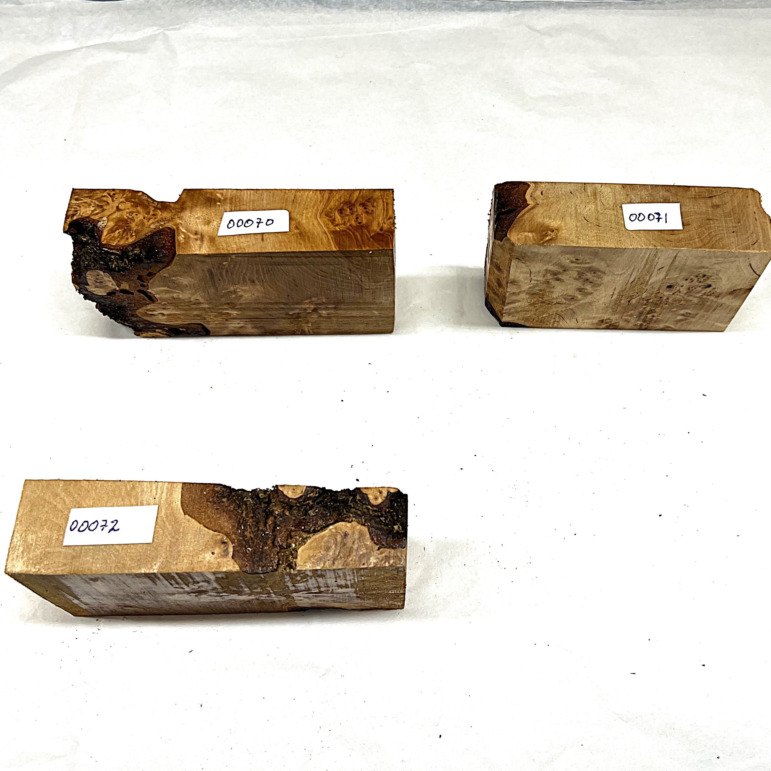 Bjørk 00070 - 00072 .JPG