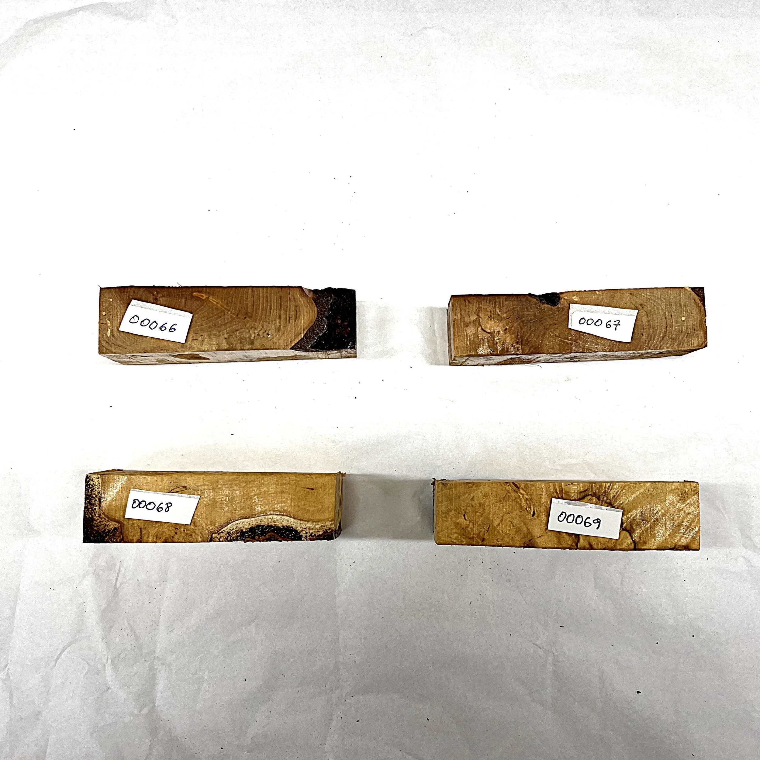 Bjørk 00066 - 00069 ii.JPG