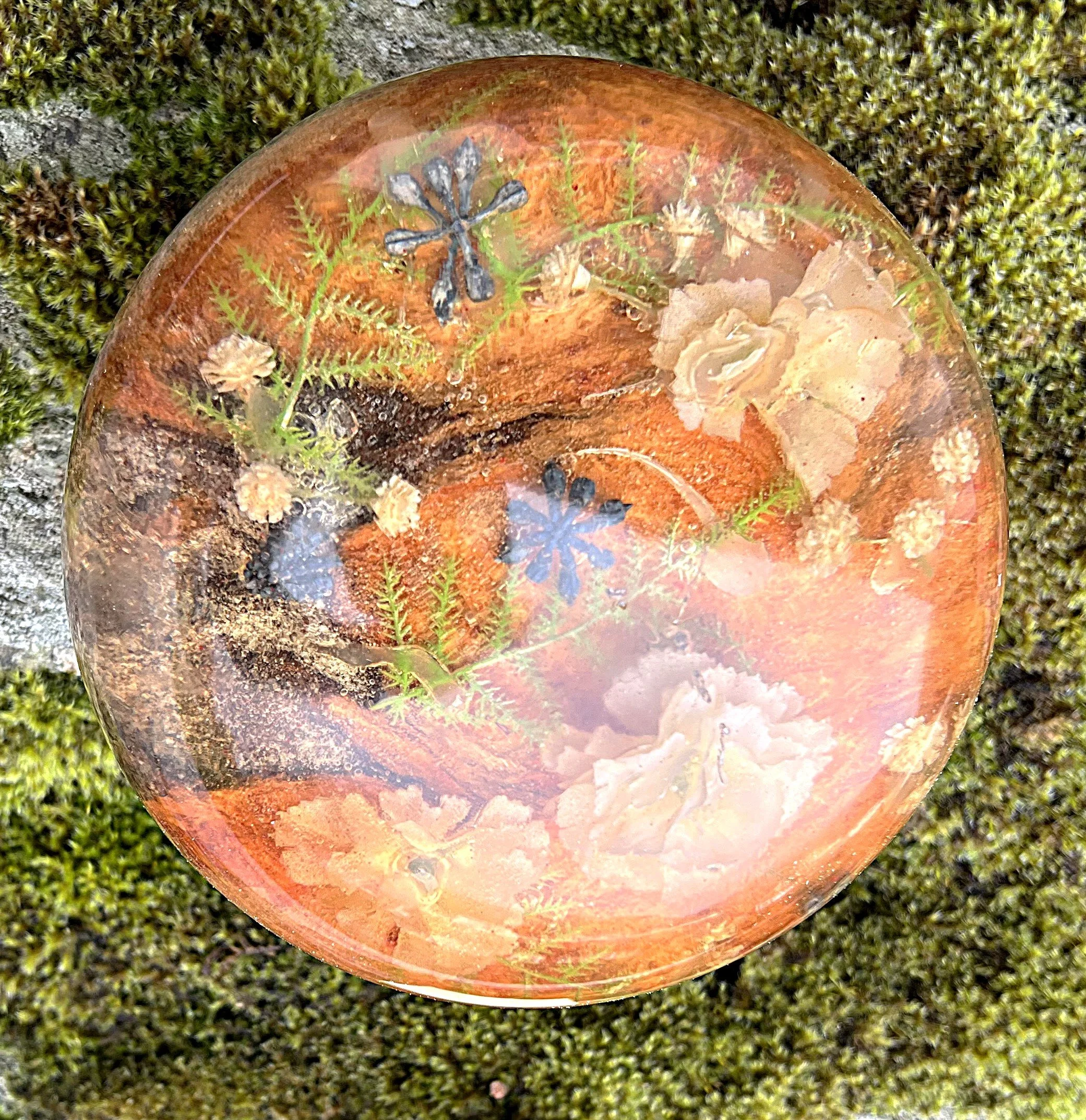 Sopp 721 vii.jpg