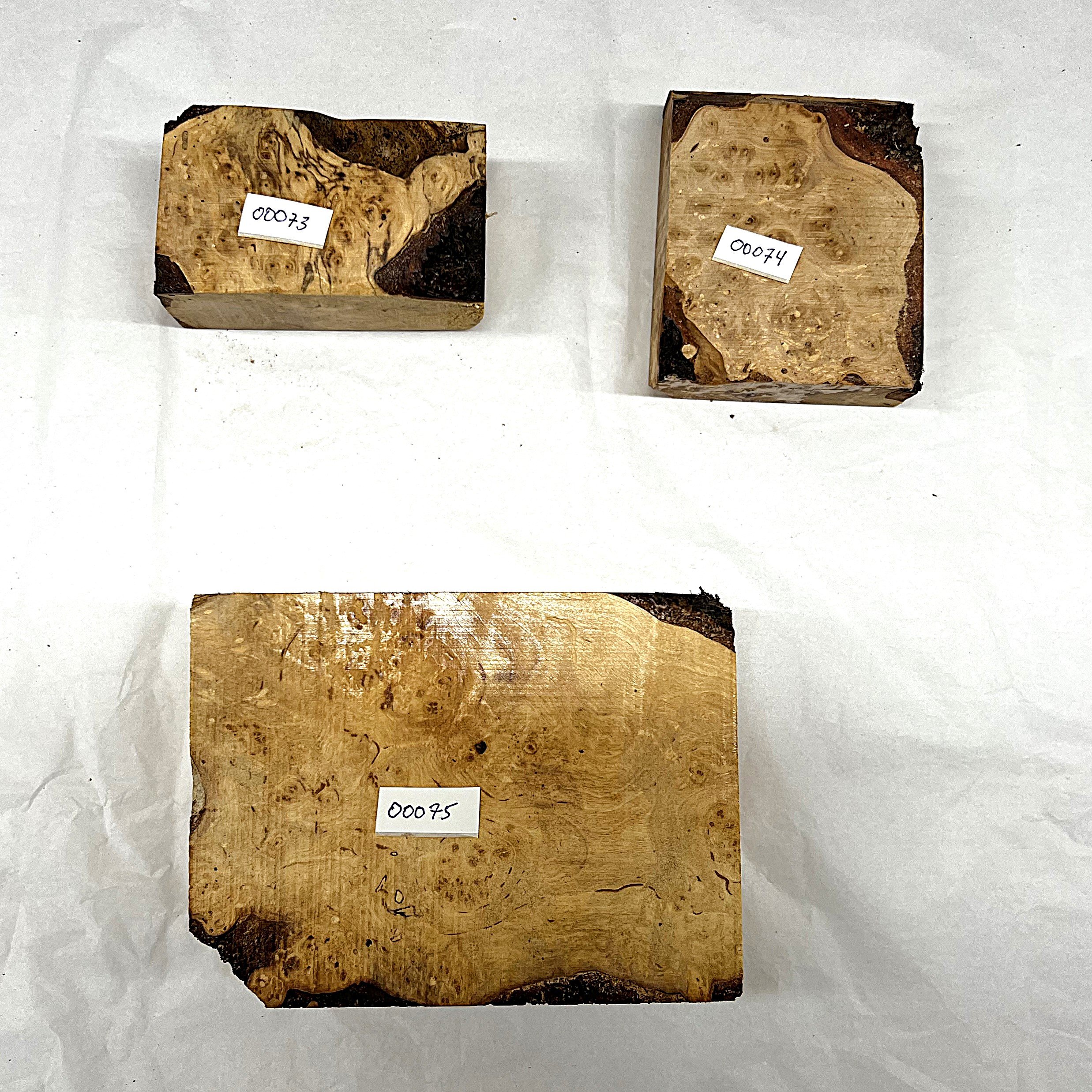 Bjørk 00073 - 00075  iii.JPG