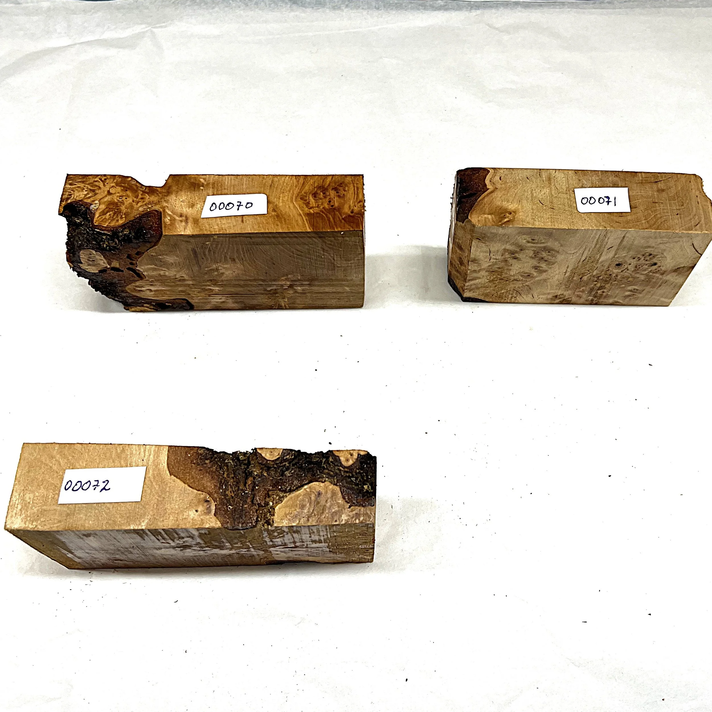 Bjørk 00070 - 00072 .JPG