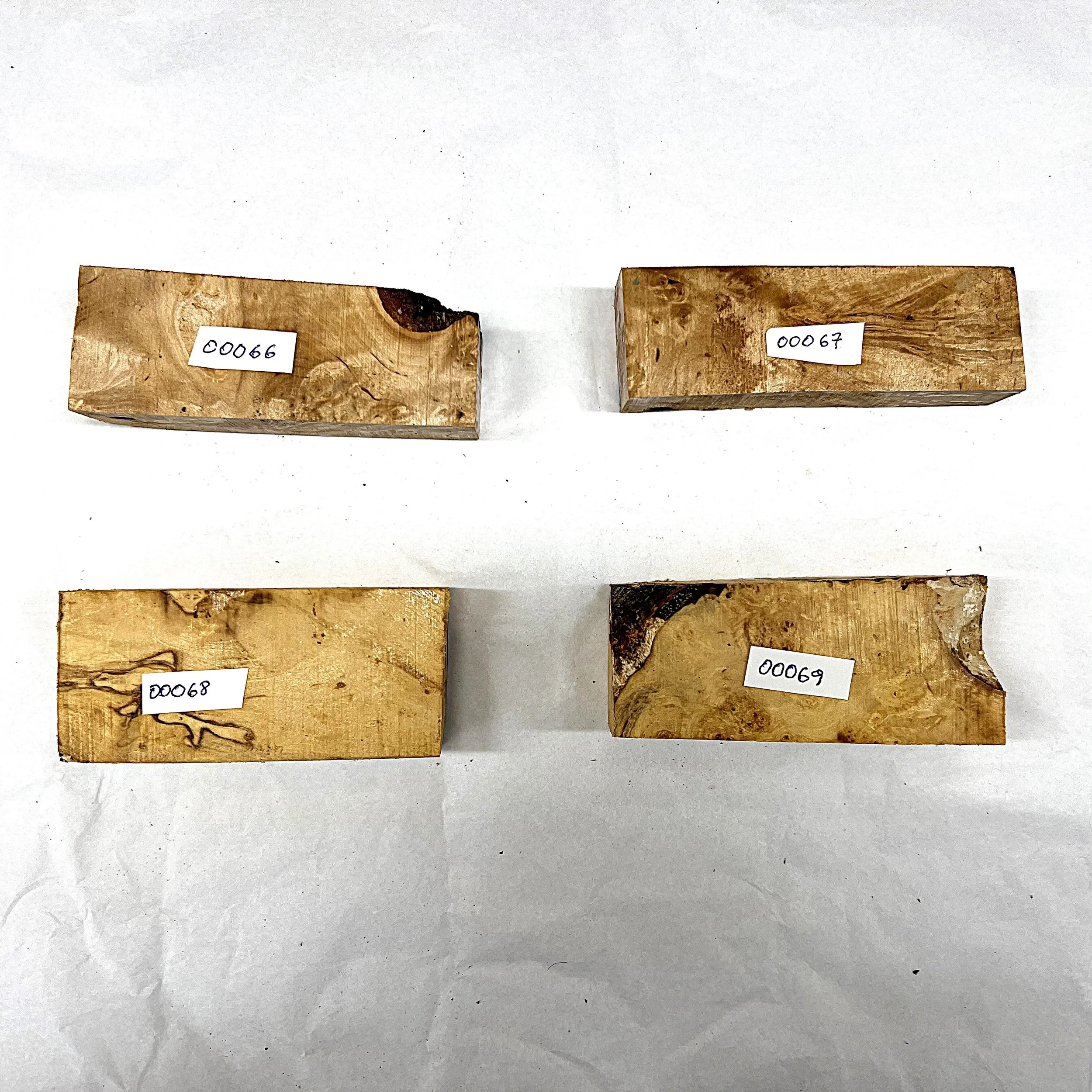 Bjørk 00066 - 00069 .JPG