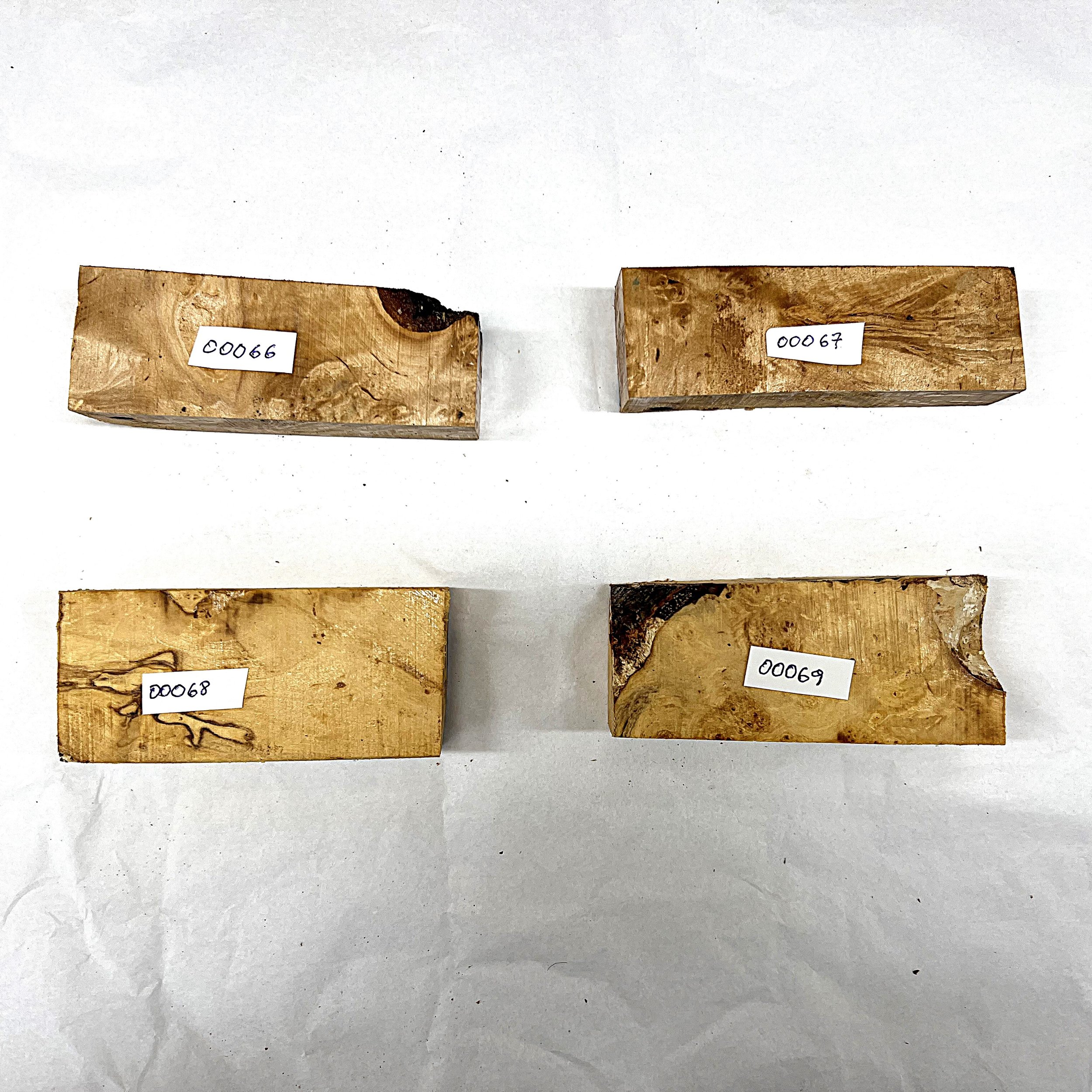 Bjørk 00066 - 00069 .JPG