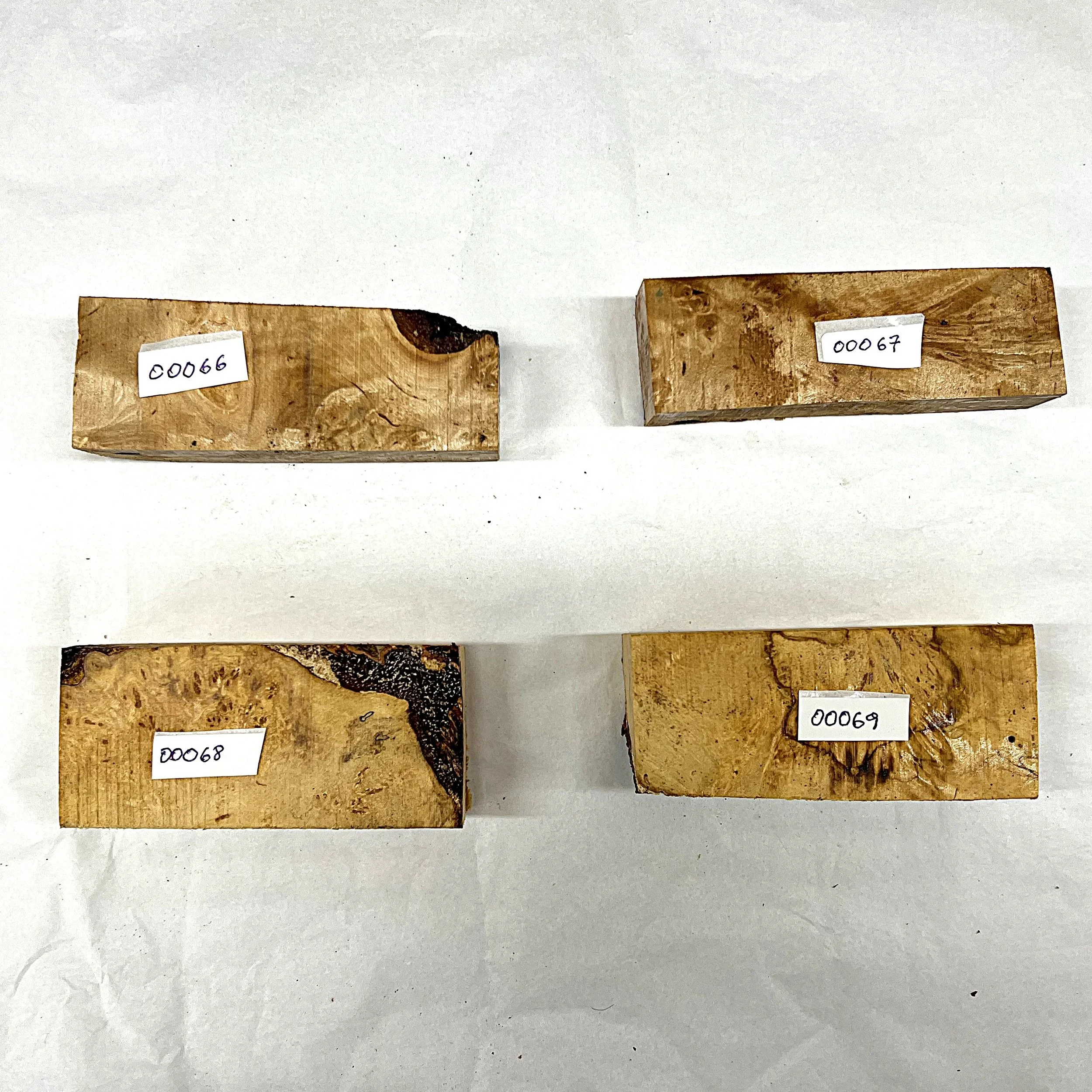 Bjørk 00066 - 00069  i.JPG