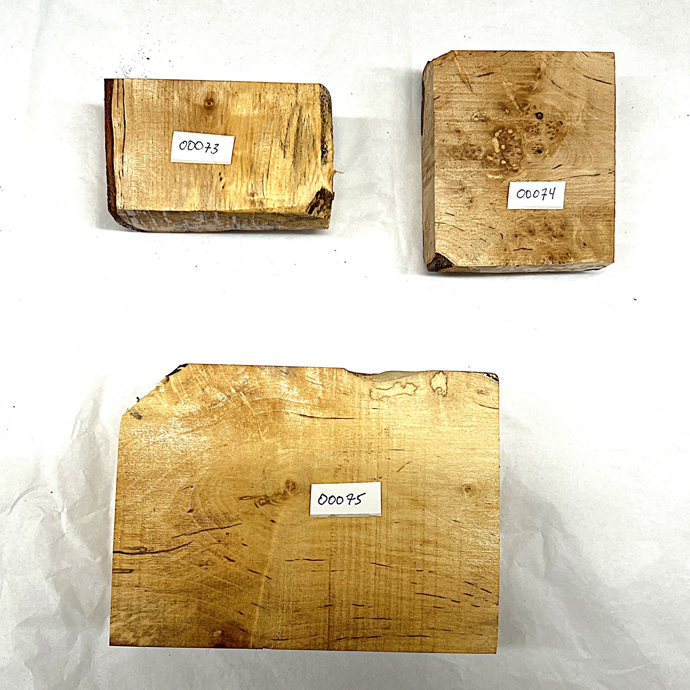 Bjørk 00073 - 00075  i.JPG