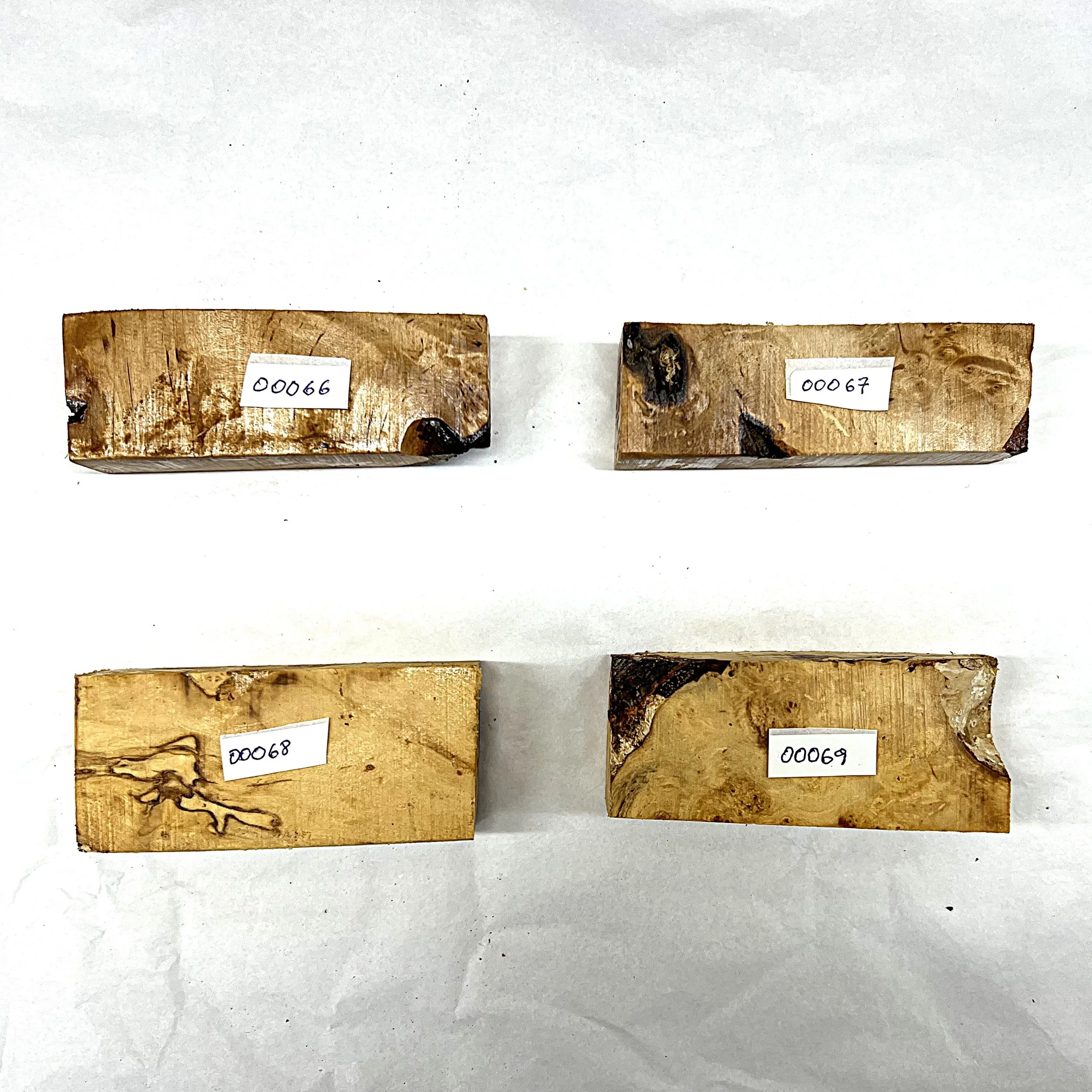 Bjørk 00066 - 00069  iii.JPG