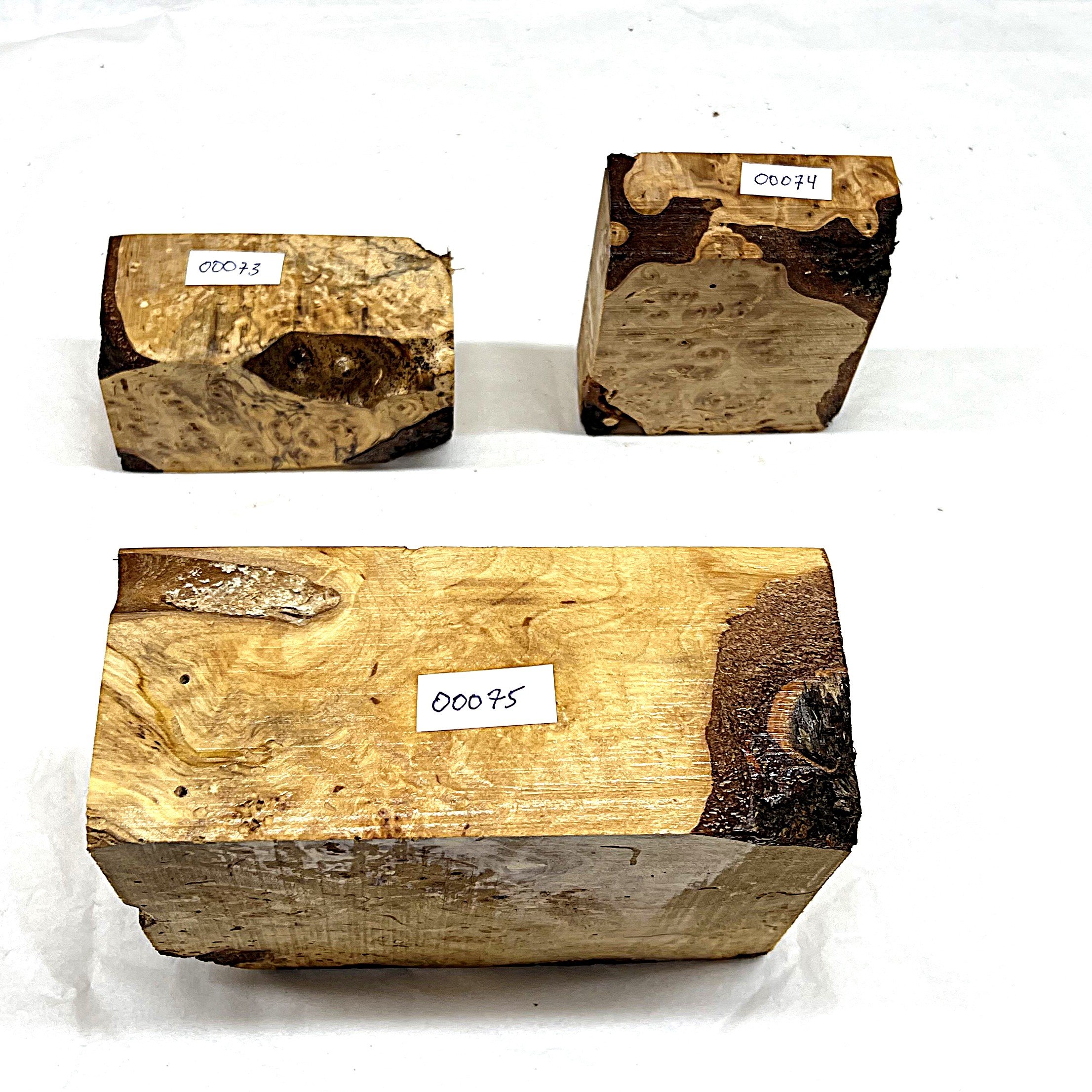 Bjørk 00073 - 00075 .JPG