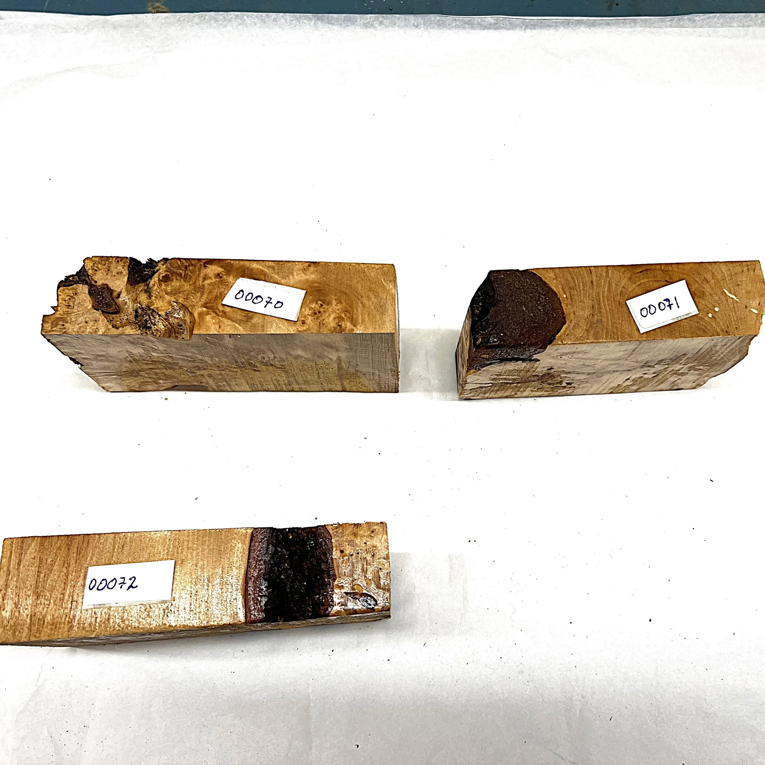 Bjørk 00070 - 00072  iii.JPG