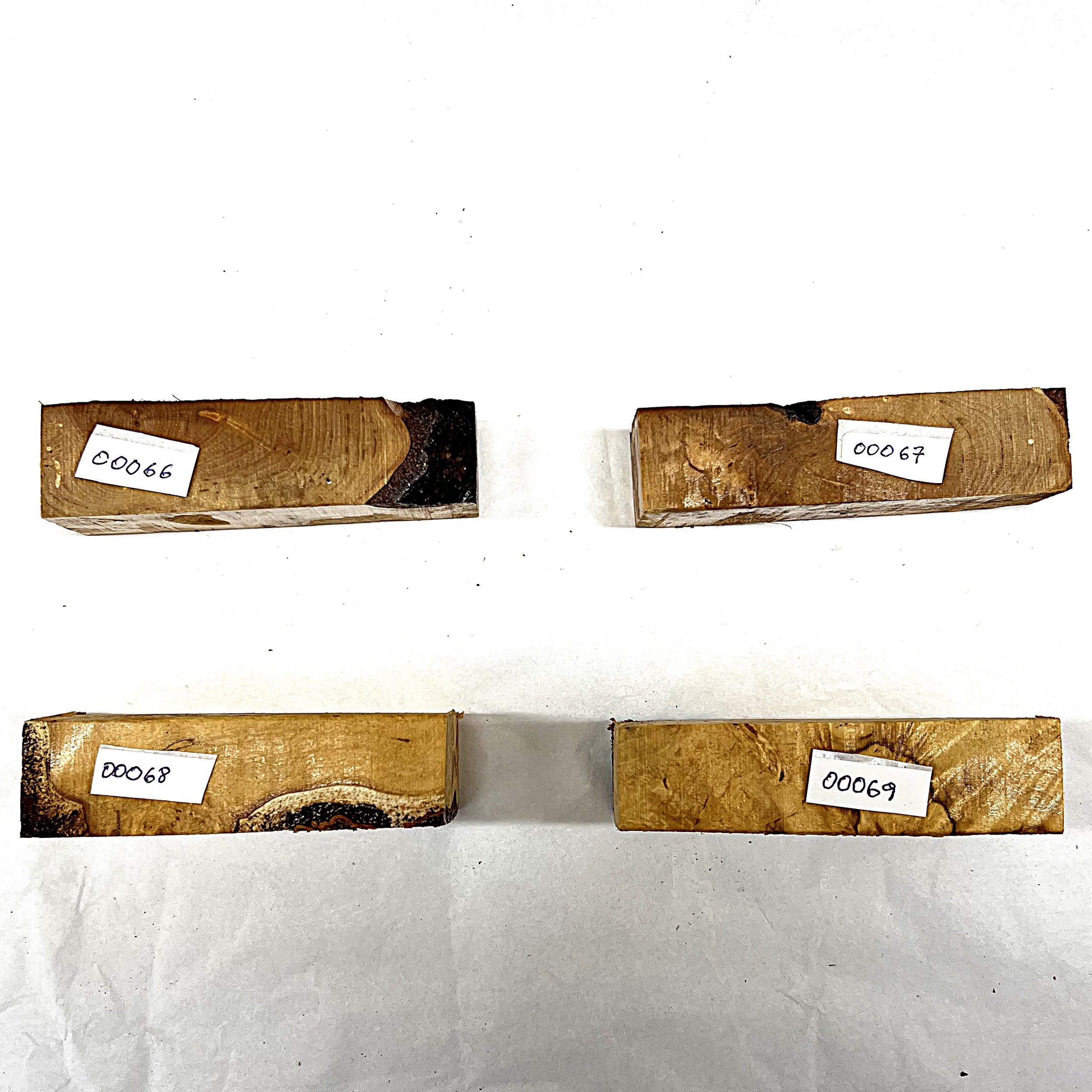 Bjørk 00066 - 00069  ii.JPG