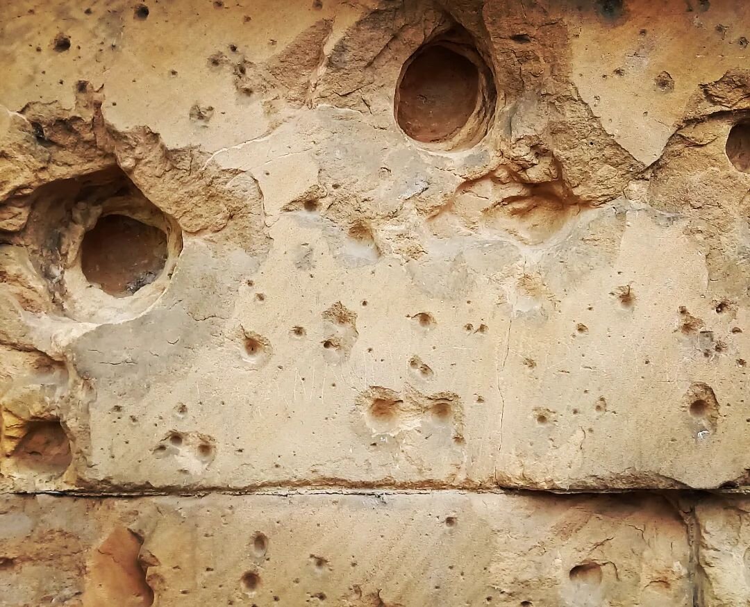 Almost 80 years later, scars from the Battle for Berlin can still be seen on some buildings in the city centre. Join a tour with us to discover more.

#originalberlinwalks #discoverberlin ##ww2history #berlin #battleforberlin #ww2inphotos #bullethole