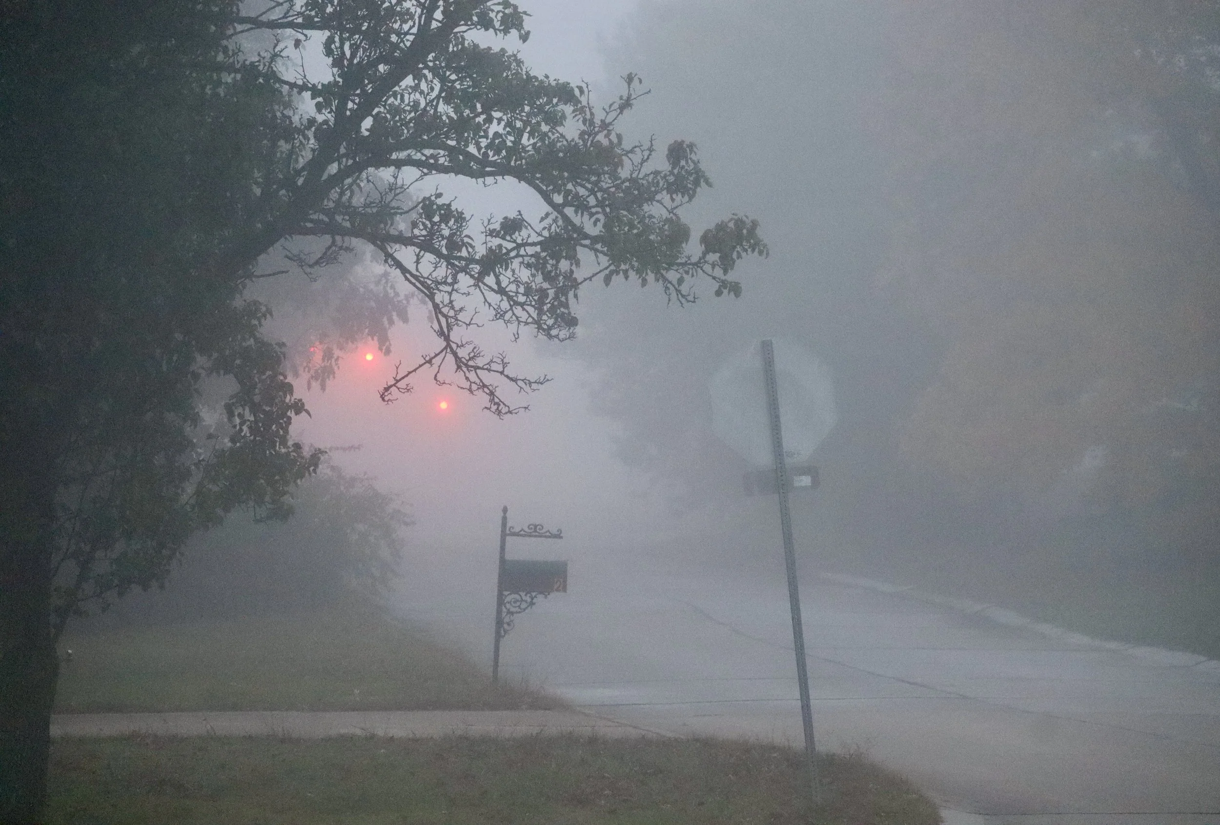 Call me nerdy or whatever, but I love early morning fog