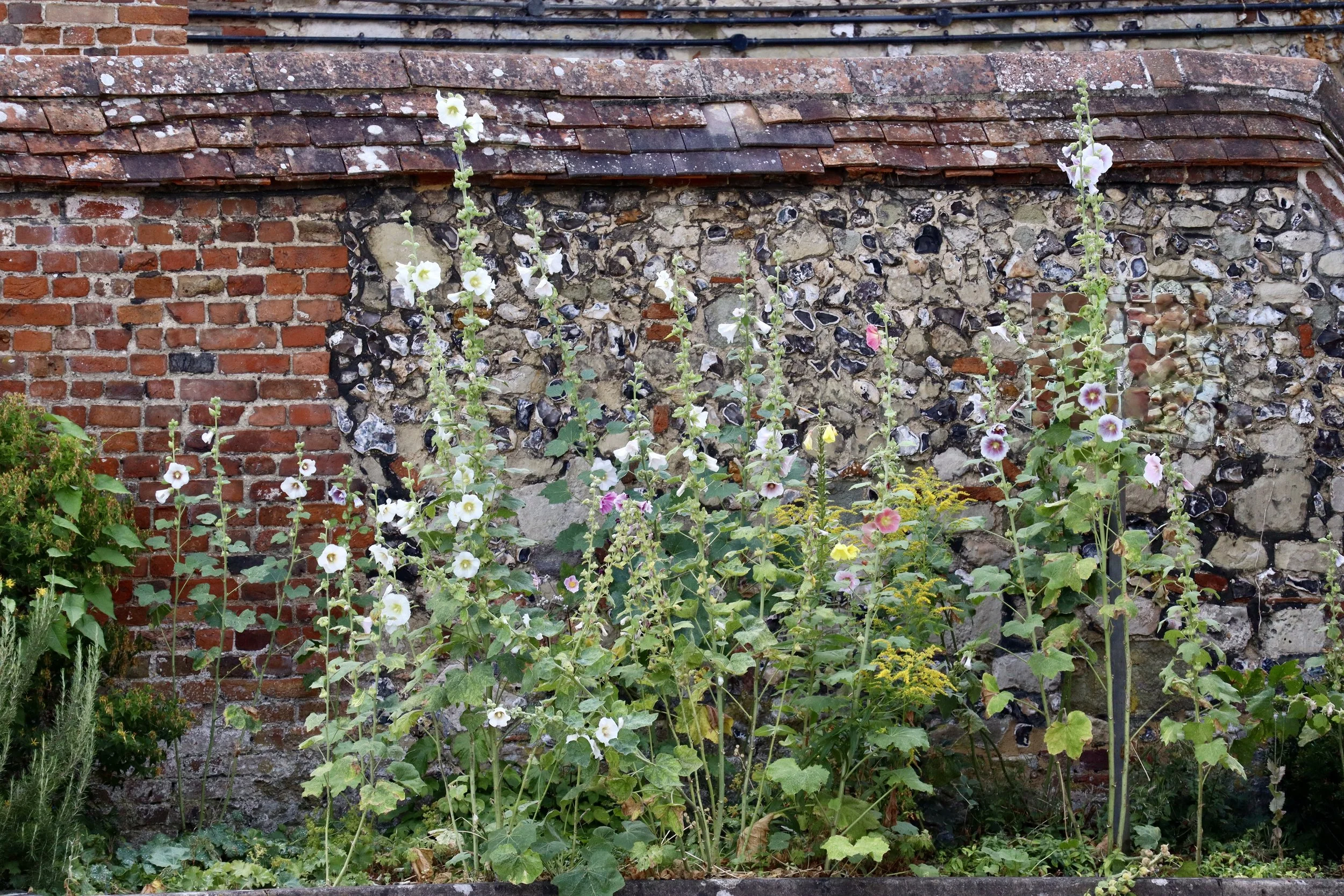 Check out this lovely wall outside Shakesphere's birthplace. Absolutely beautiful.