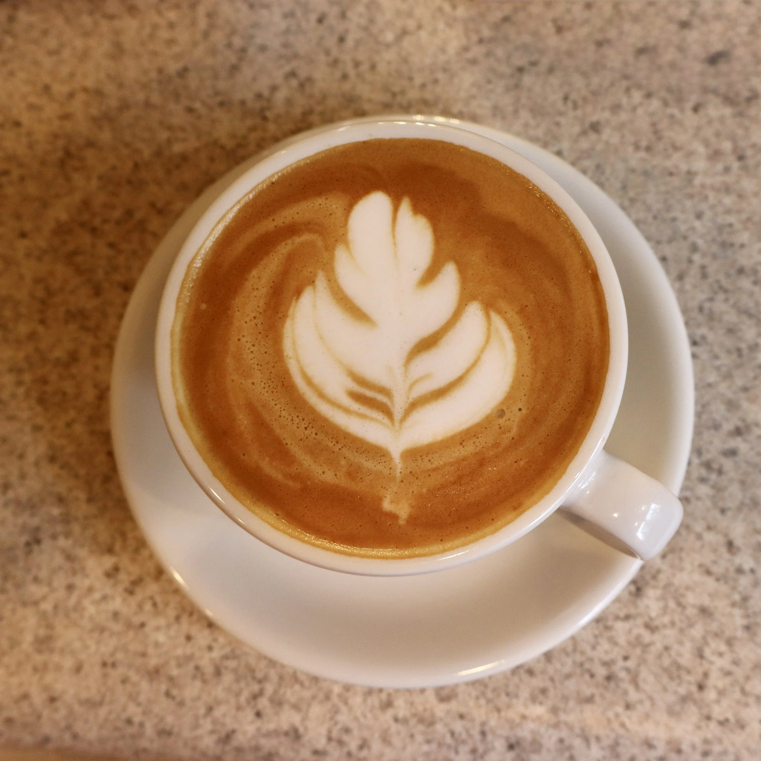 A gift from Jesse ☕️