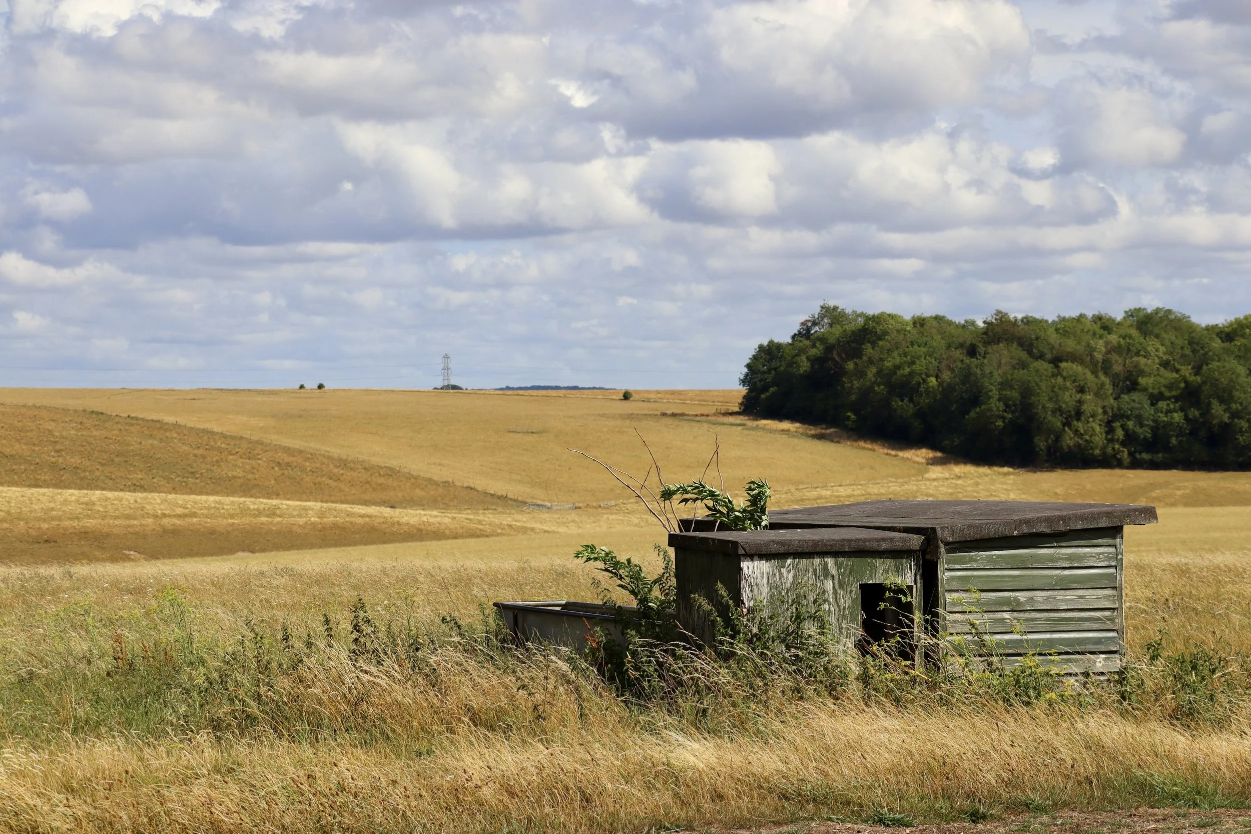 Near Stonehenge. I'm not sure what this structure is, but I love the quietness.