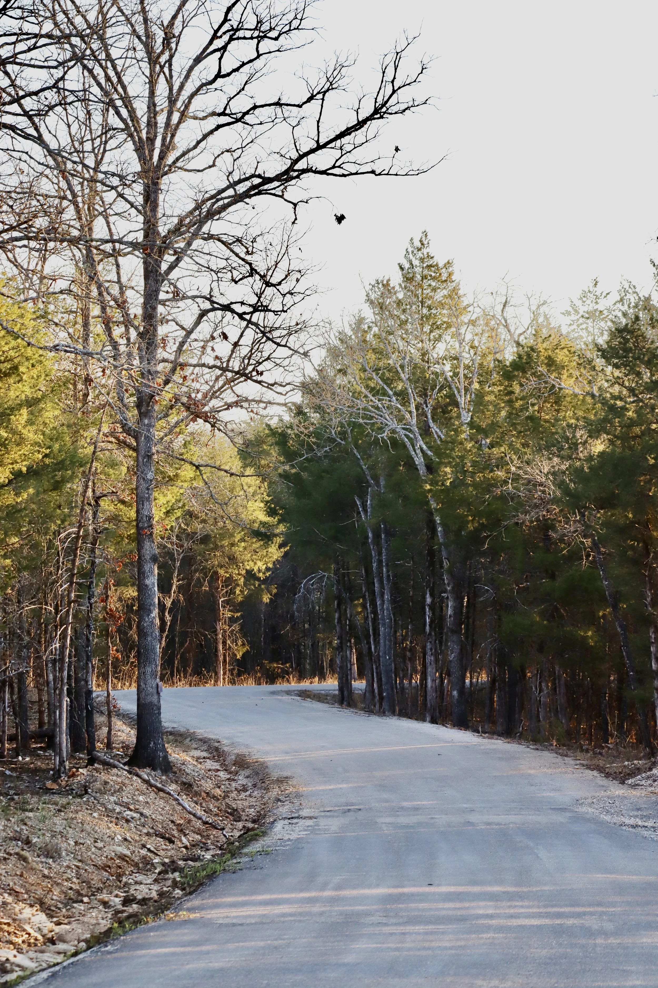 No car passed by. It was just me walking with the wind on a quiet country road.