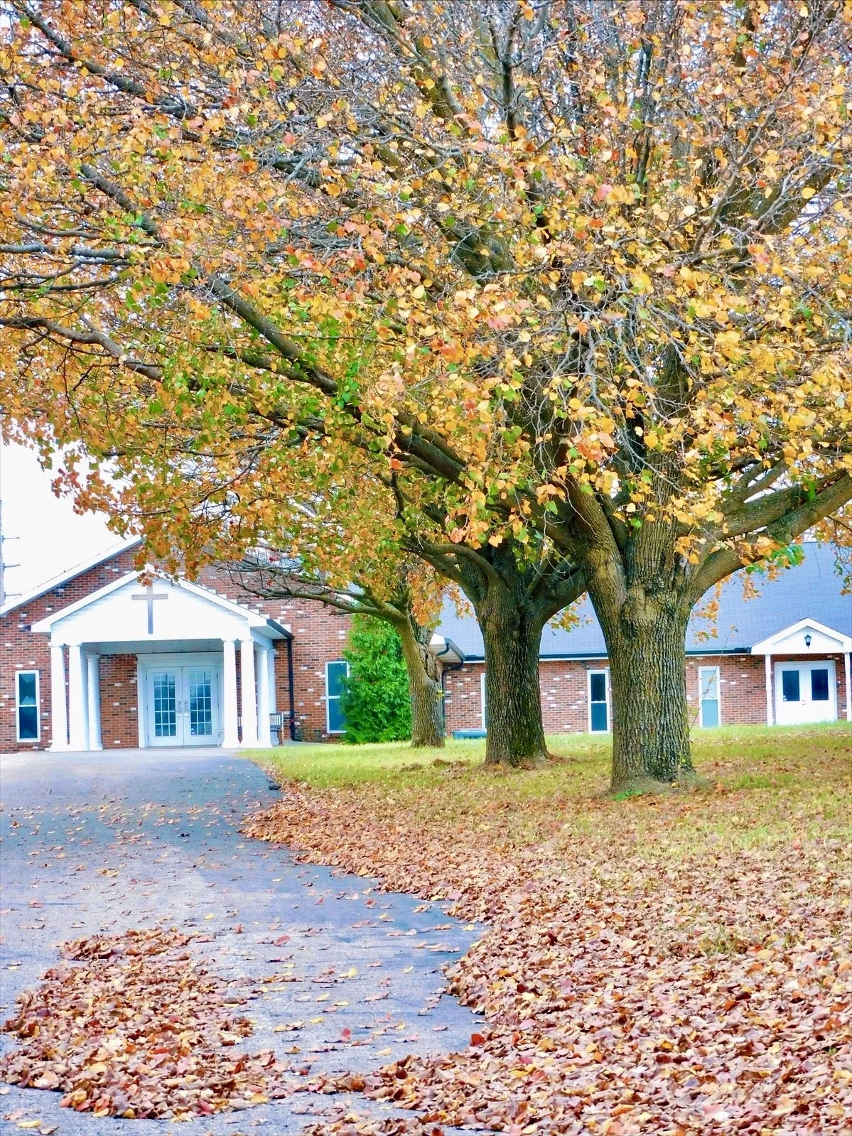 Autumn in Weldon Spring