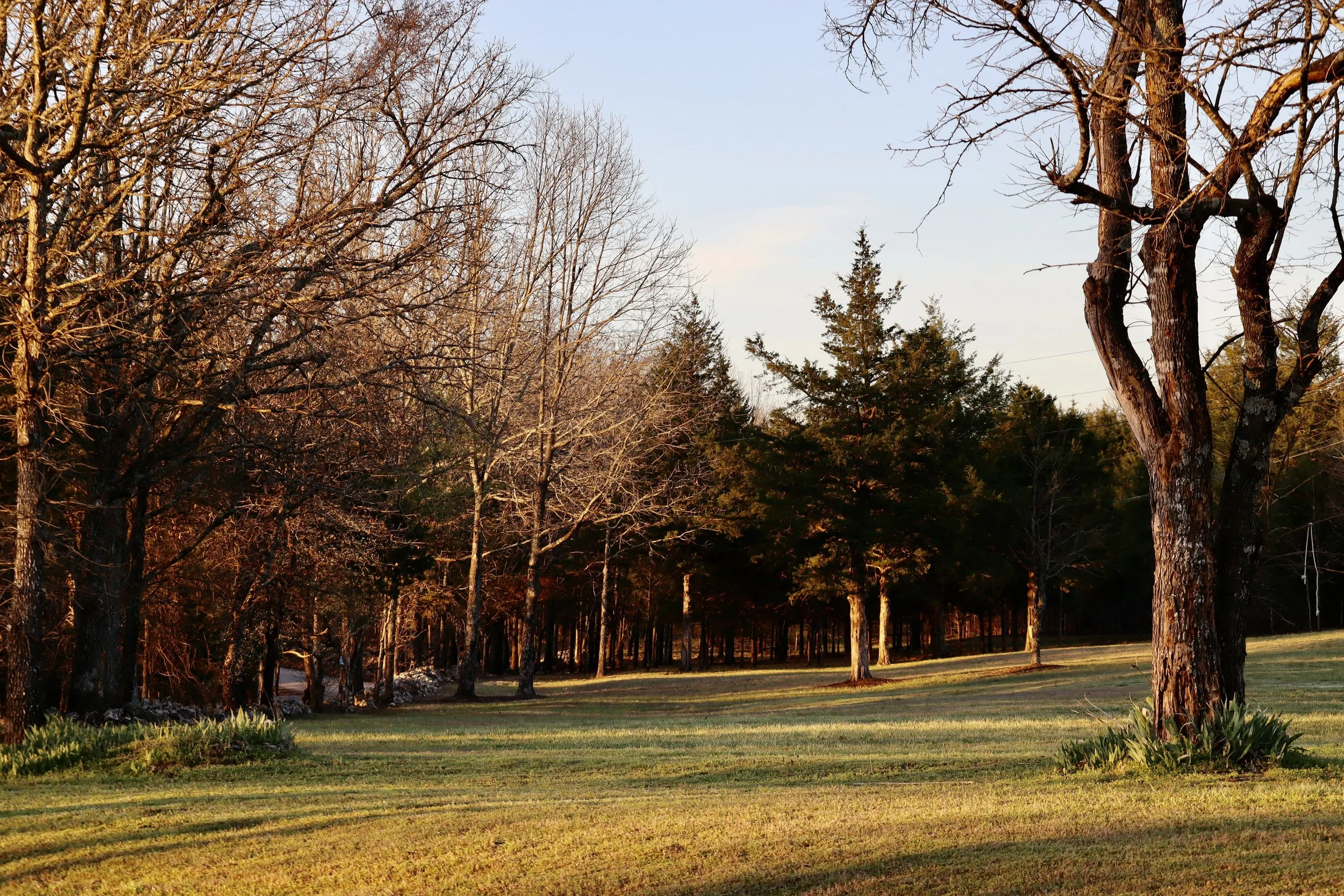 Remnants of Sunrise; An early morning view of Prayer Mountain in the Ozarks.