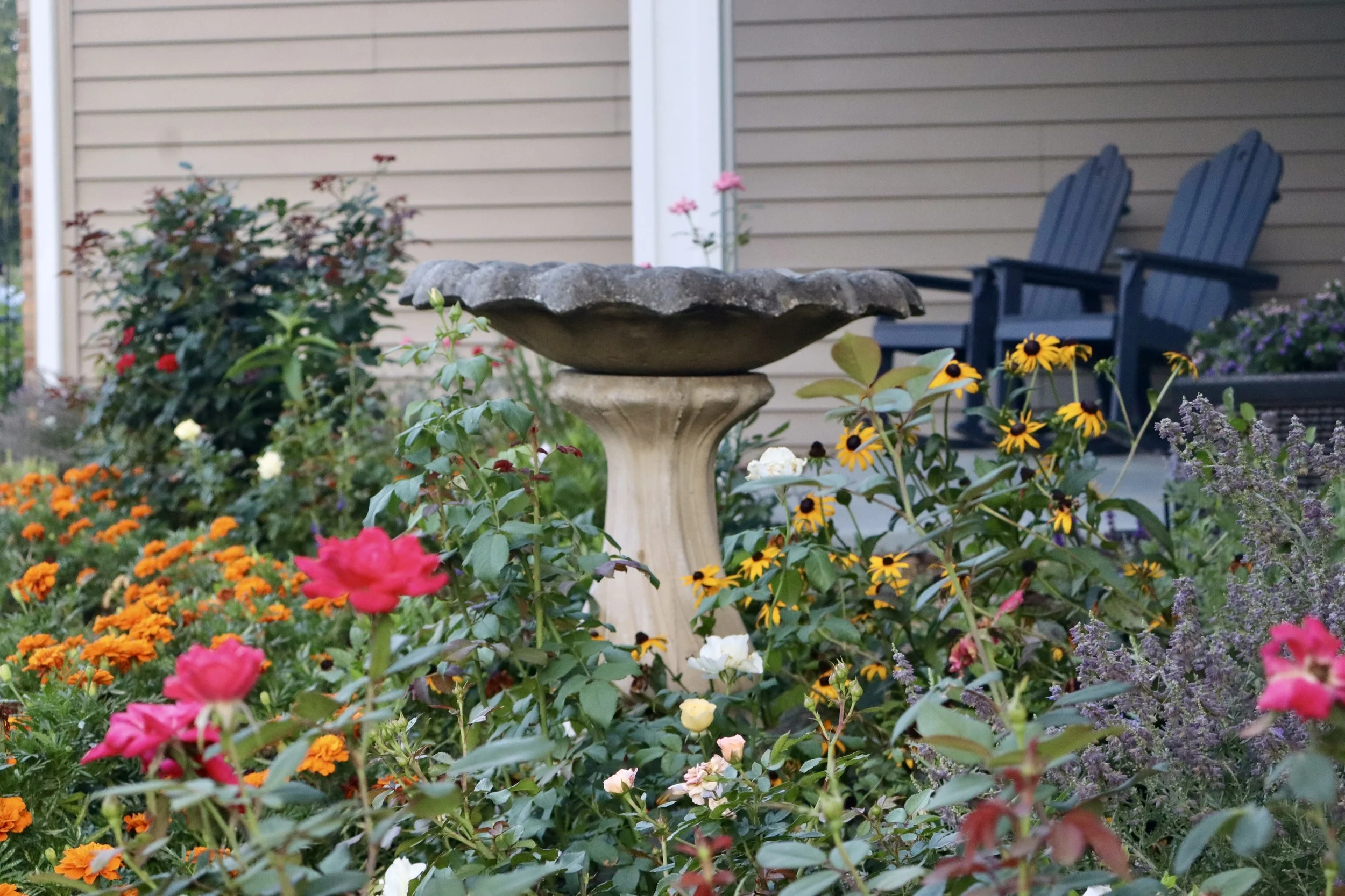 a view from our front porch garden