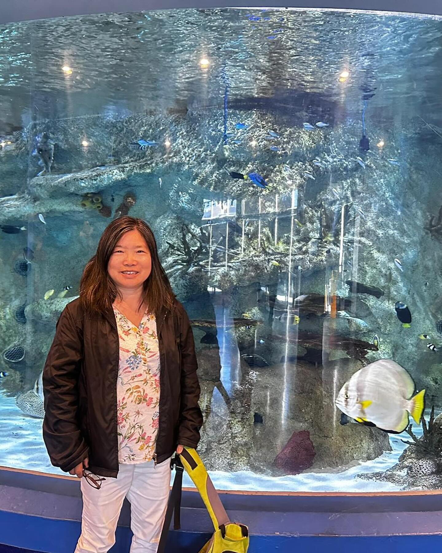 A visit to the aquarium is always good fun 🐟 🐠 🐧 

🏷️ 
#smallbusinessmelbourne #smallbusinessvictoria #ndis #ndissupport #ndisaustralia #ndissupportcoordination #supportcoordination #disabilityawareness #disabilityinclusion #disabilitysupport #di