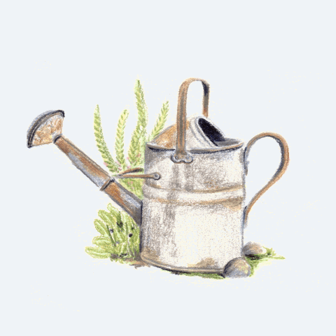 Untitled_Artwork 18.gif