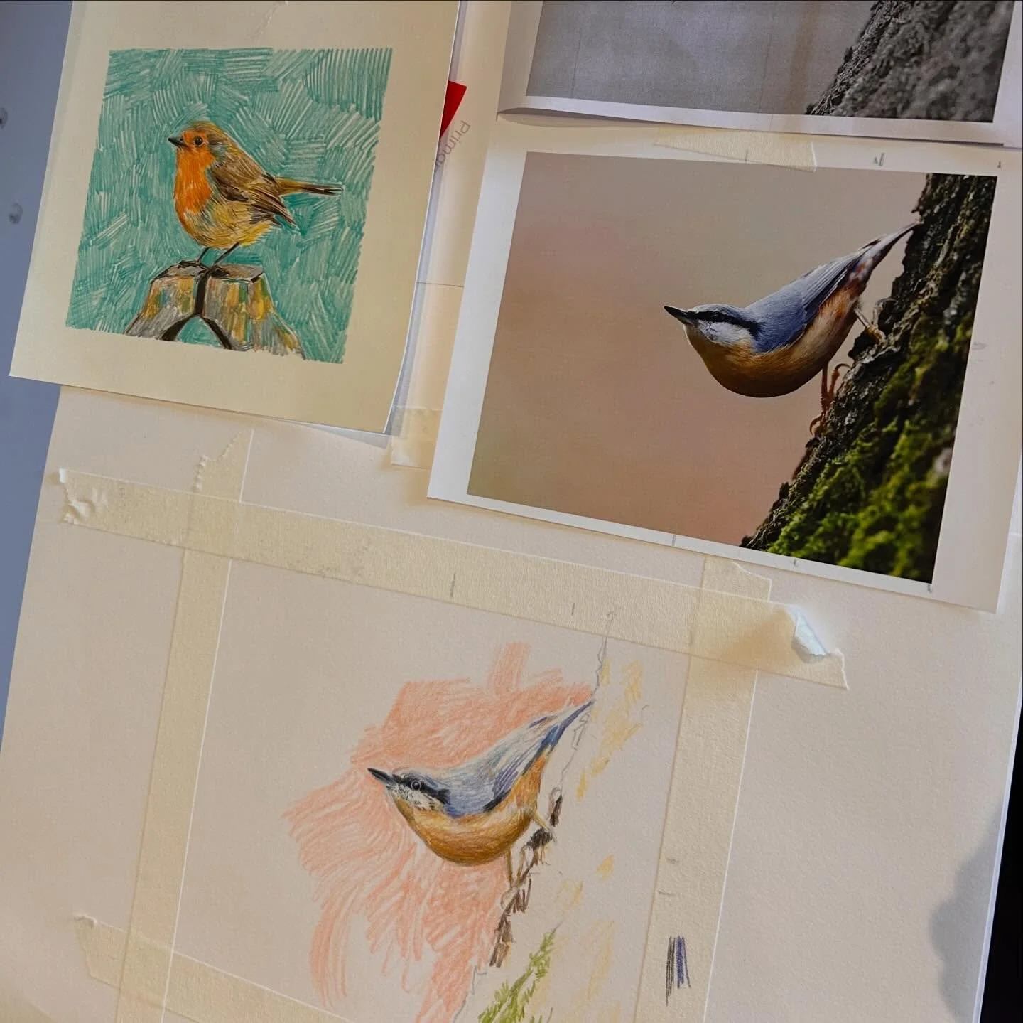 February - small signs of colour. 
For February&rsquo;s monthly workshop we looked at colour exploring how it can create harmony, balance and stir emotion. 

Focusing on our current garden visitors, we used interesting mark making to show movement an