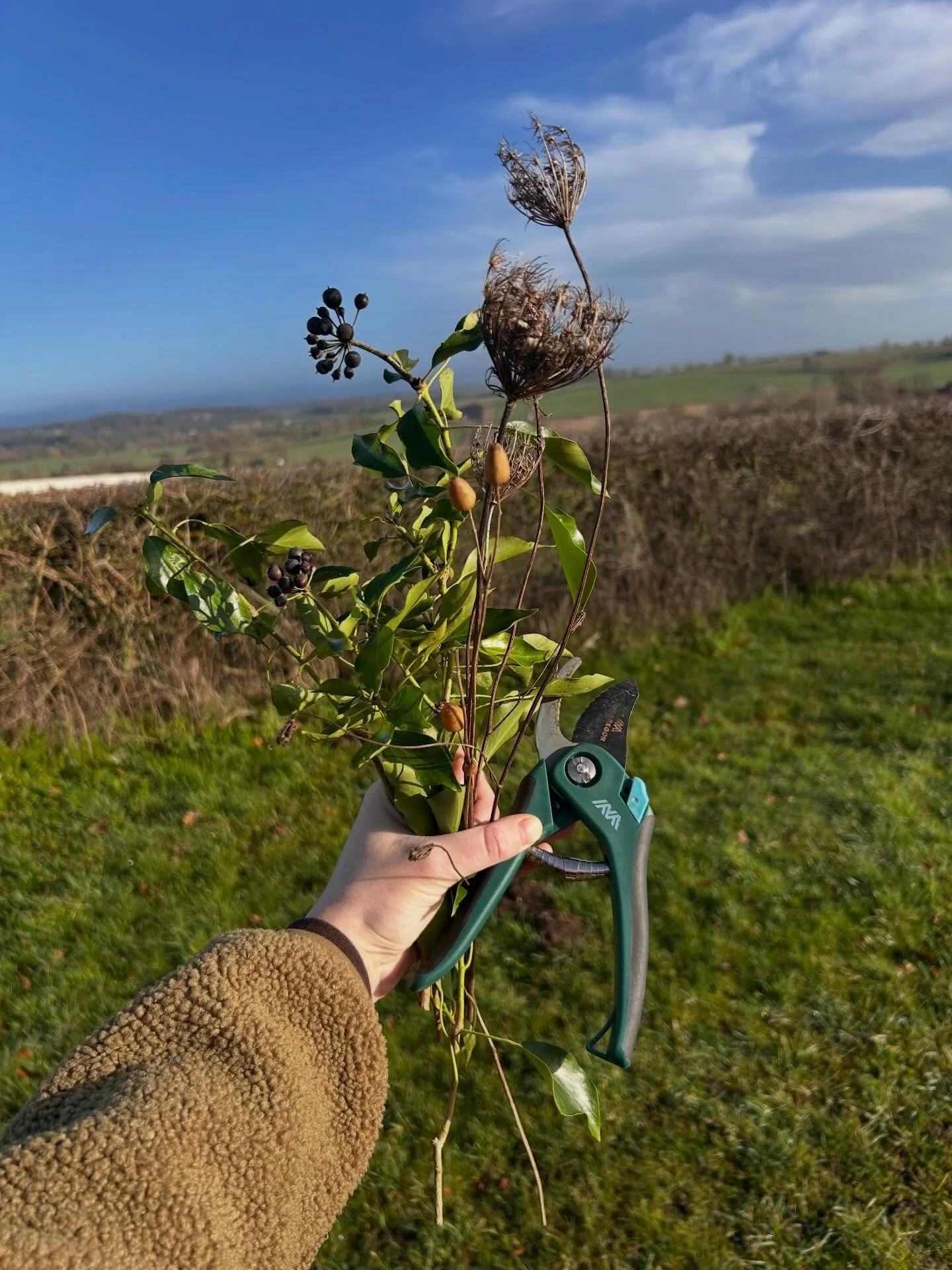 It&rsquo;s been a week since my first workshop of the year! 
Here&rsquo;s some magical drawings from the lovely people who attended. My next workshop is the 28th of February! 

Booking via my website. Limited spaces left. 

Thank you thank you thank 