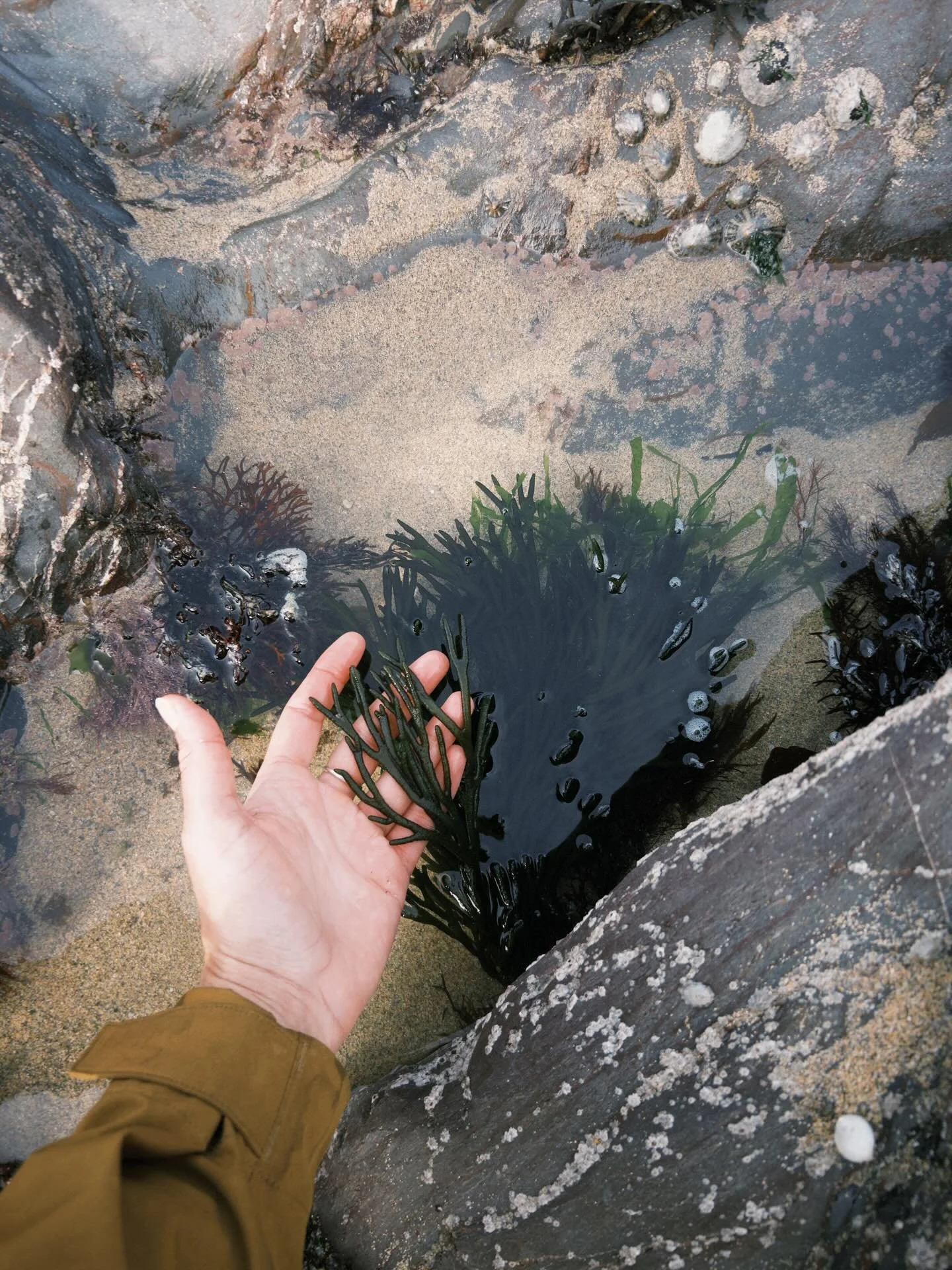 Lovely Cornwall 🌊✨