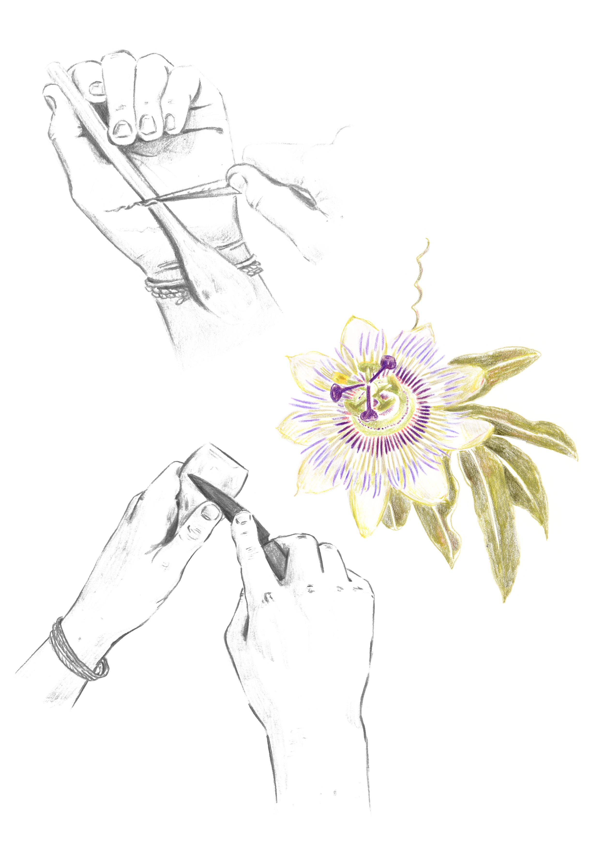 grain_.png
