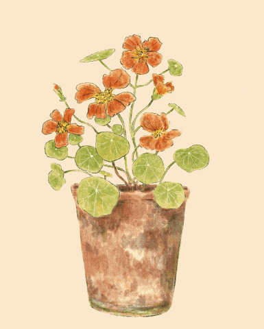 Untitled_Artwork 16.gif