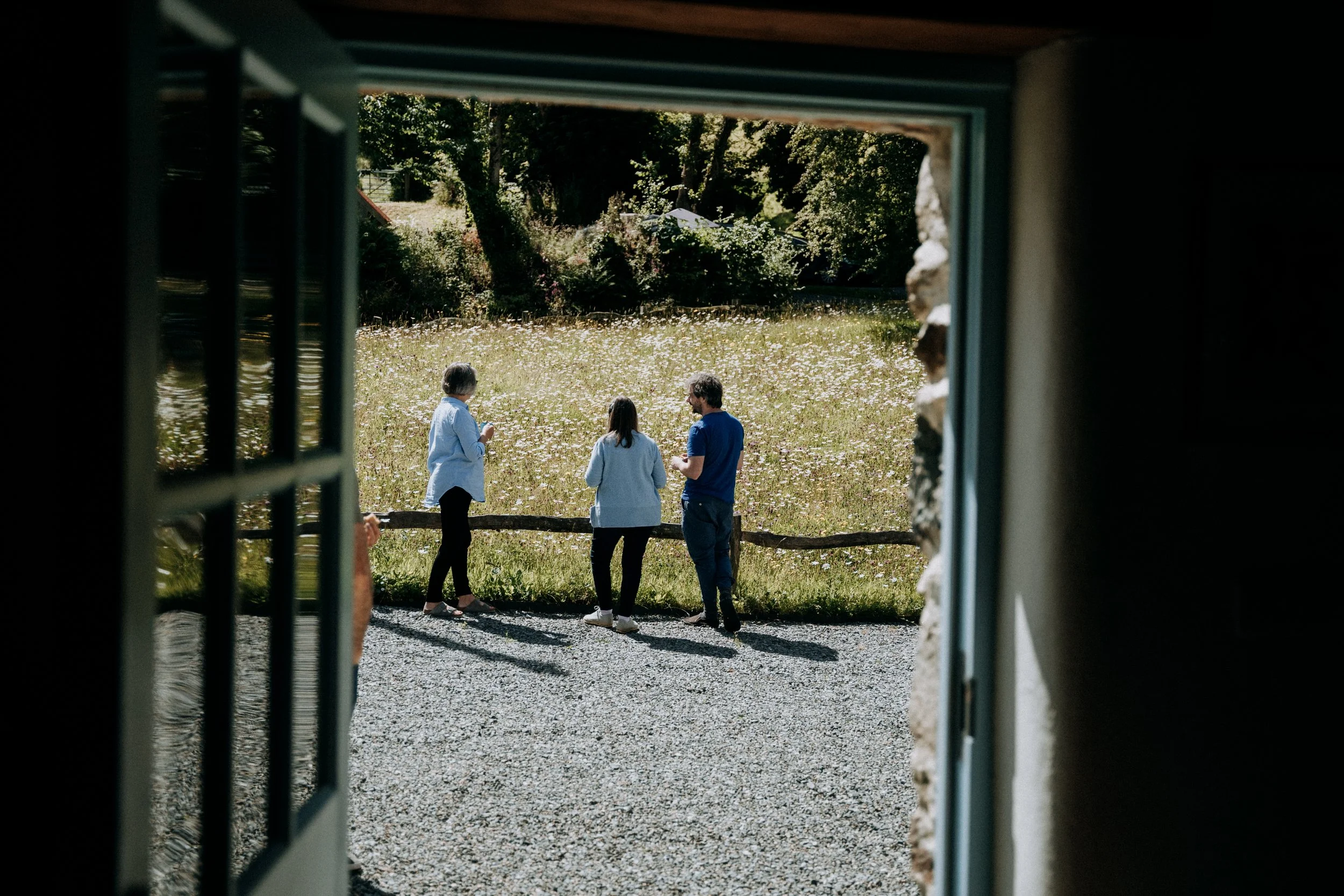 Flower Meadow in a beautiful setting