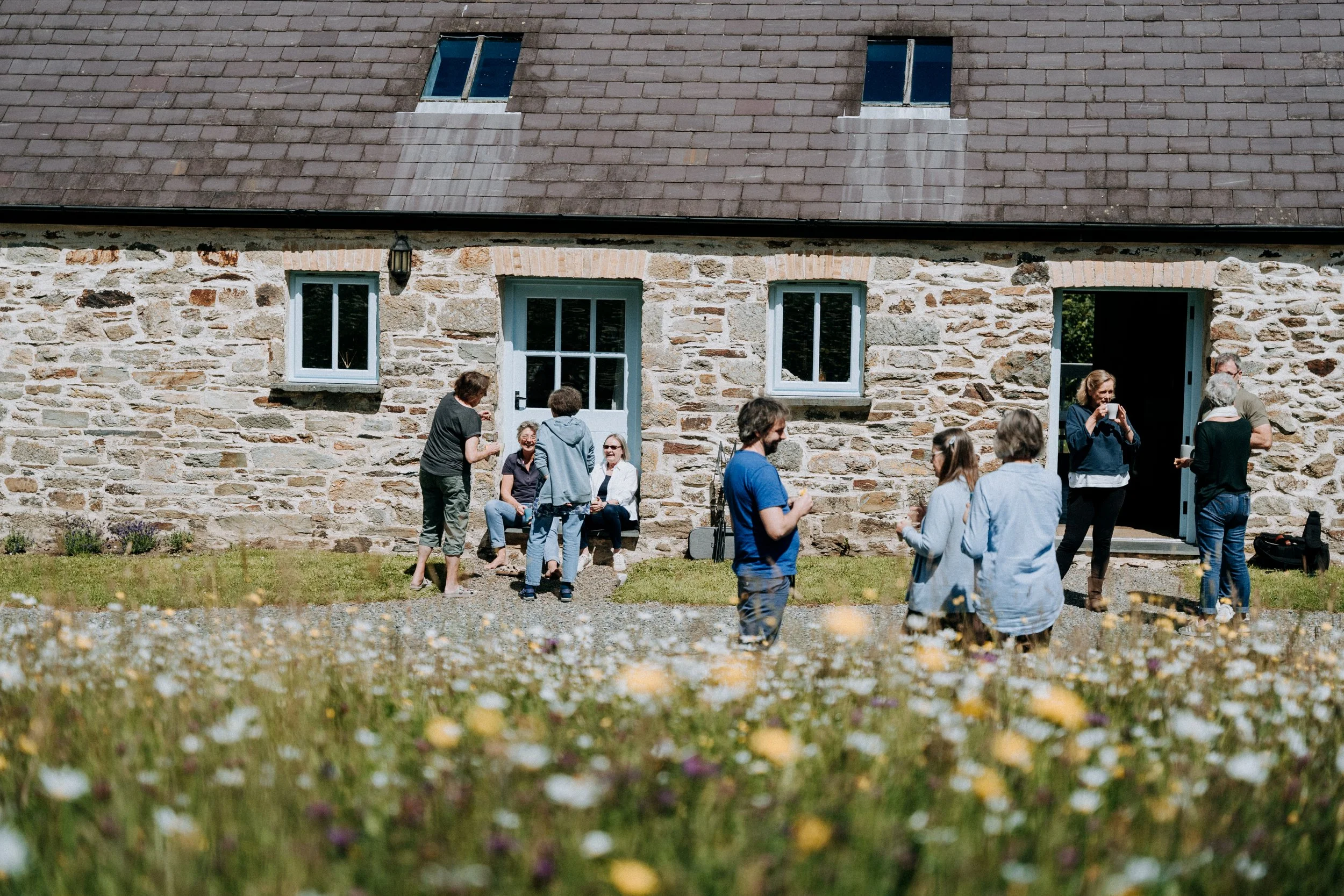 Nantwen, flower meadow