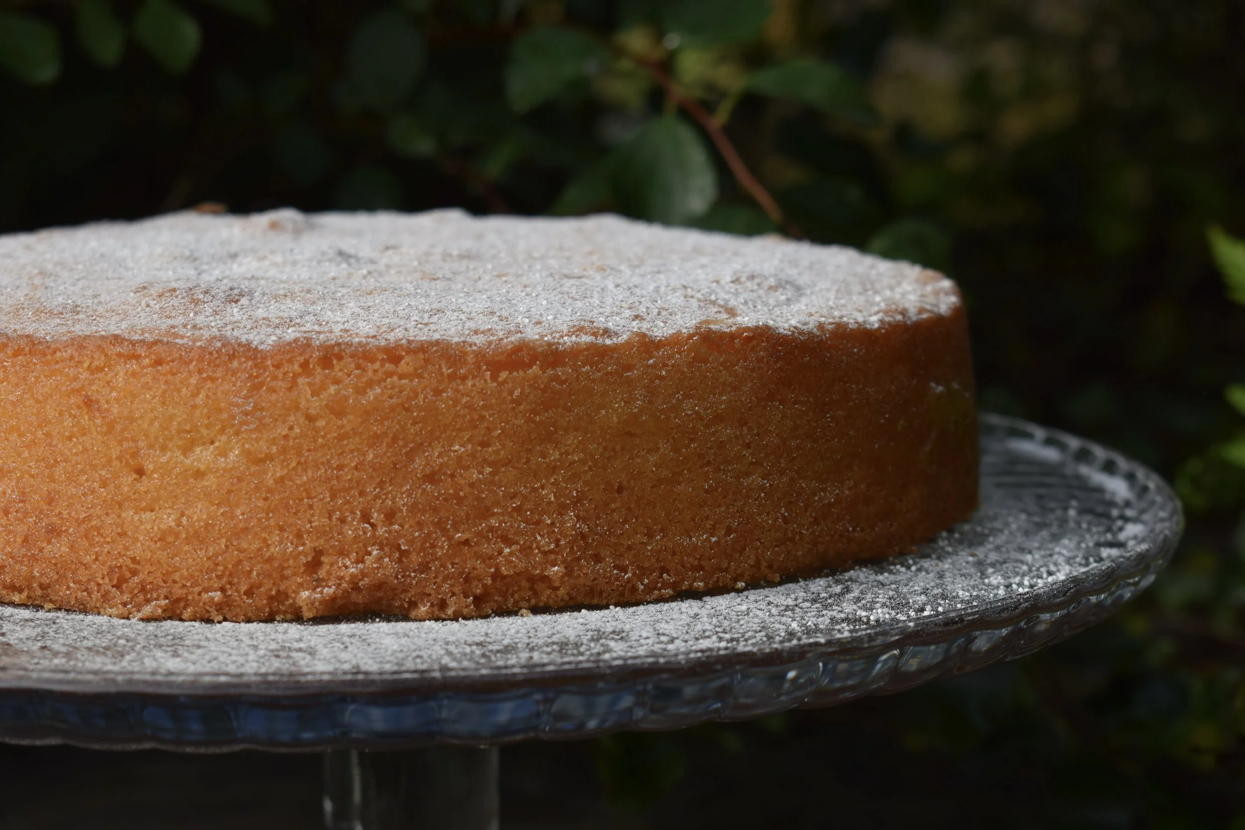 Lemon Polenta 2.jpeg