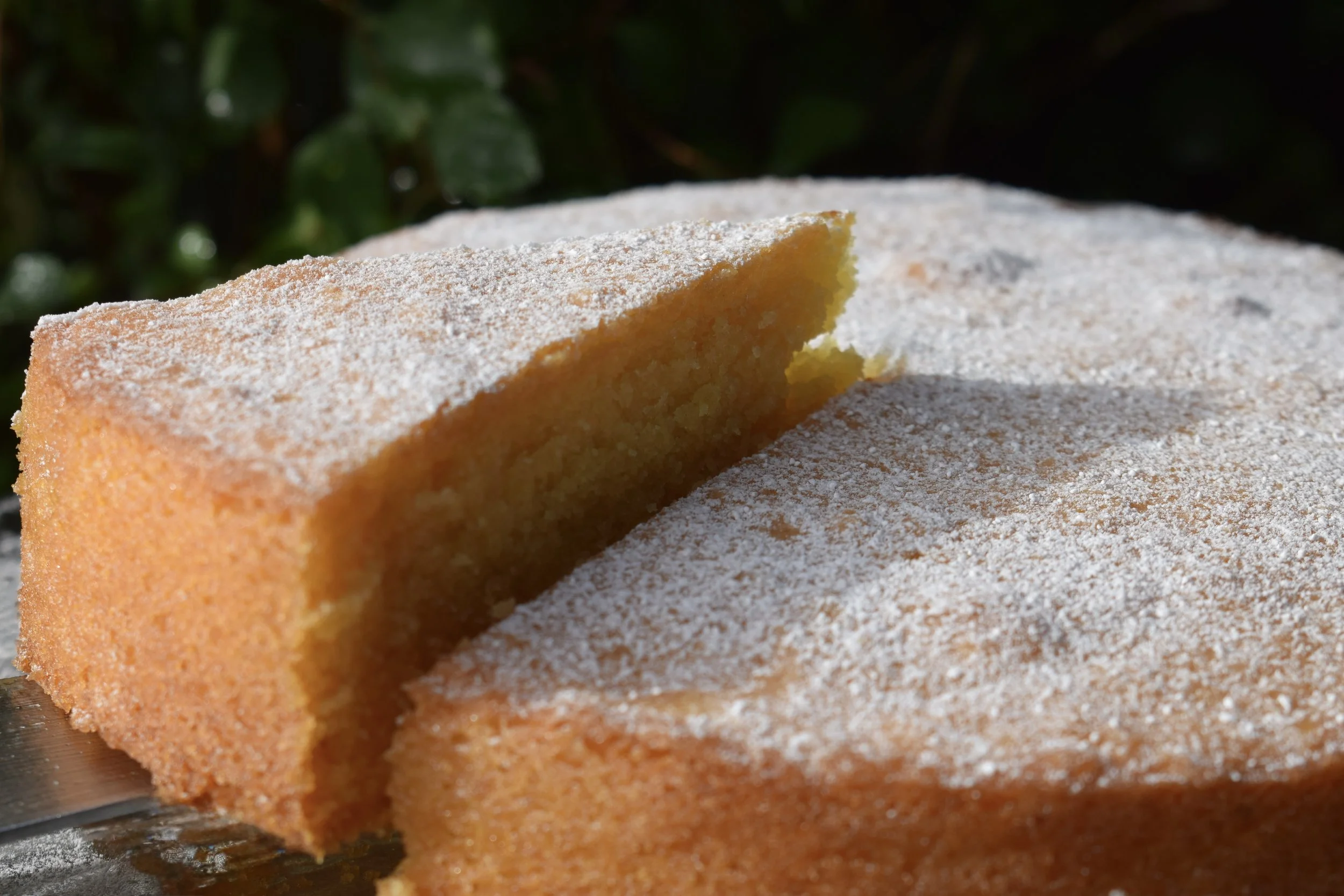 Lemon Polenta 3.jpeg