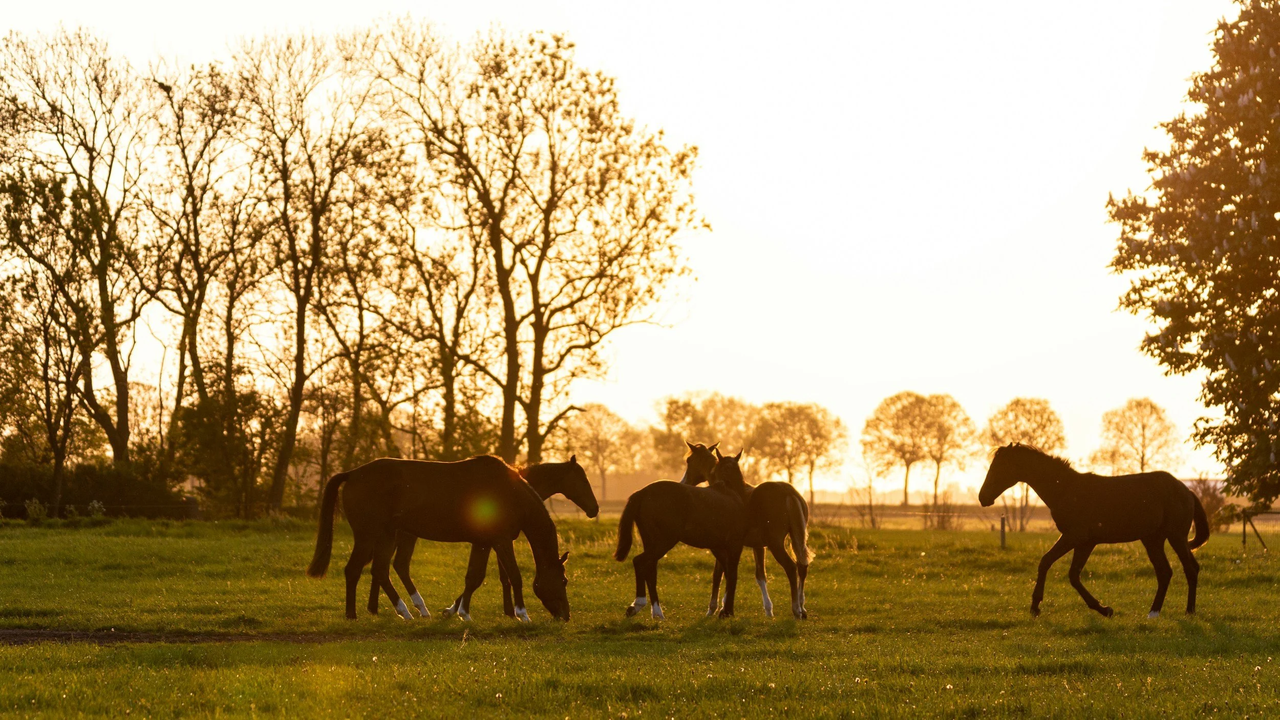 Women's Wellness Retreat at Allerton Farm