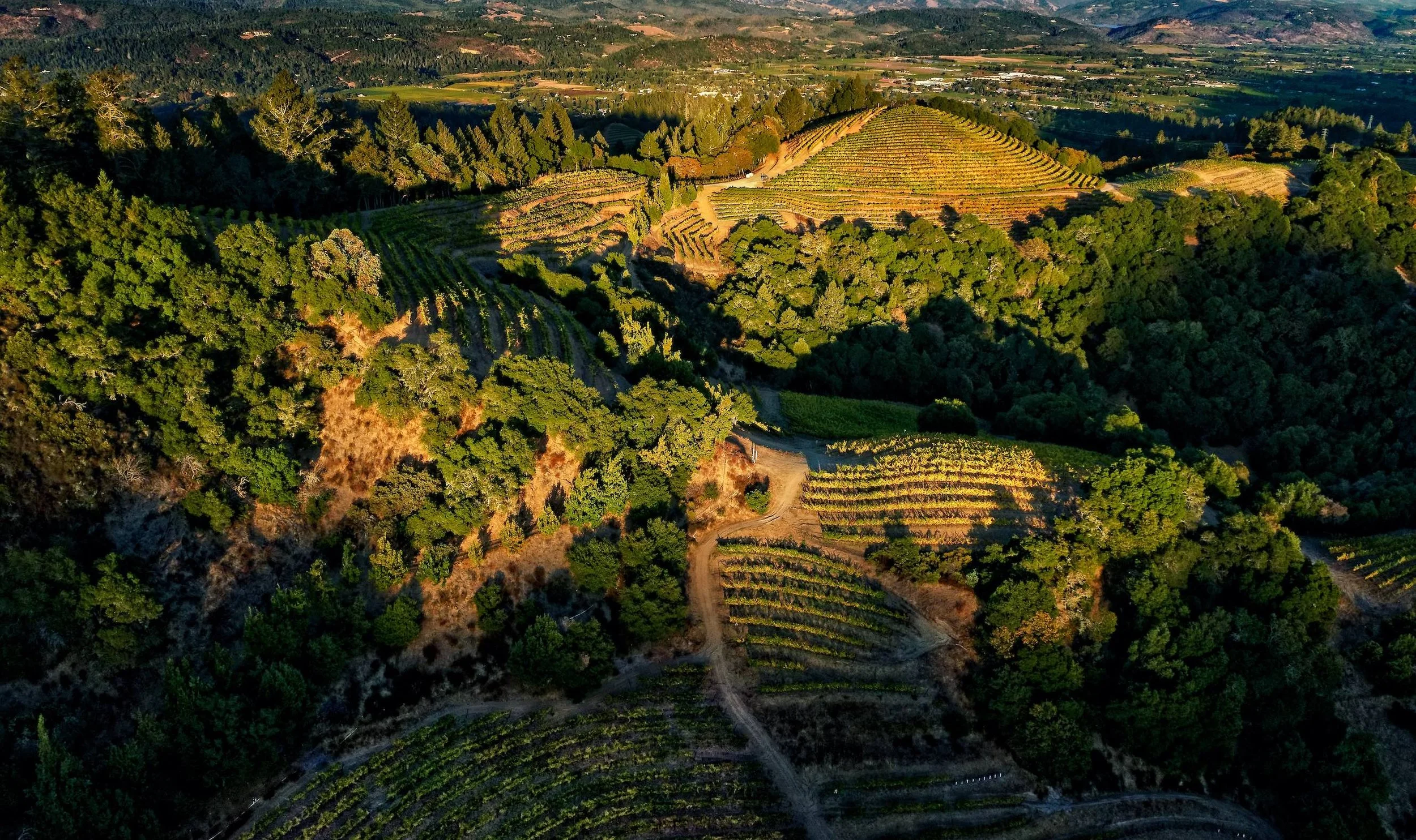 A New Chapter for a Spring Mountain Estate 