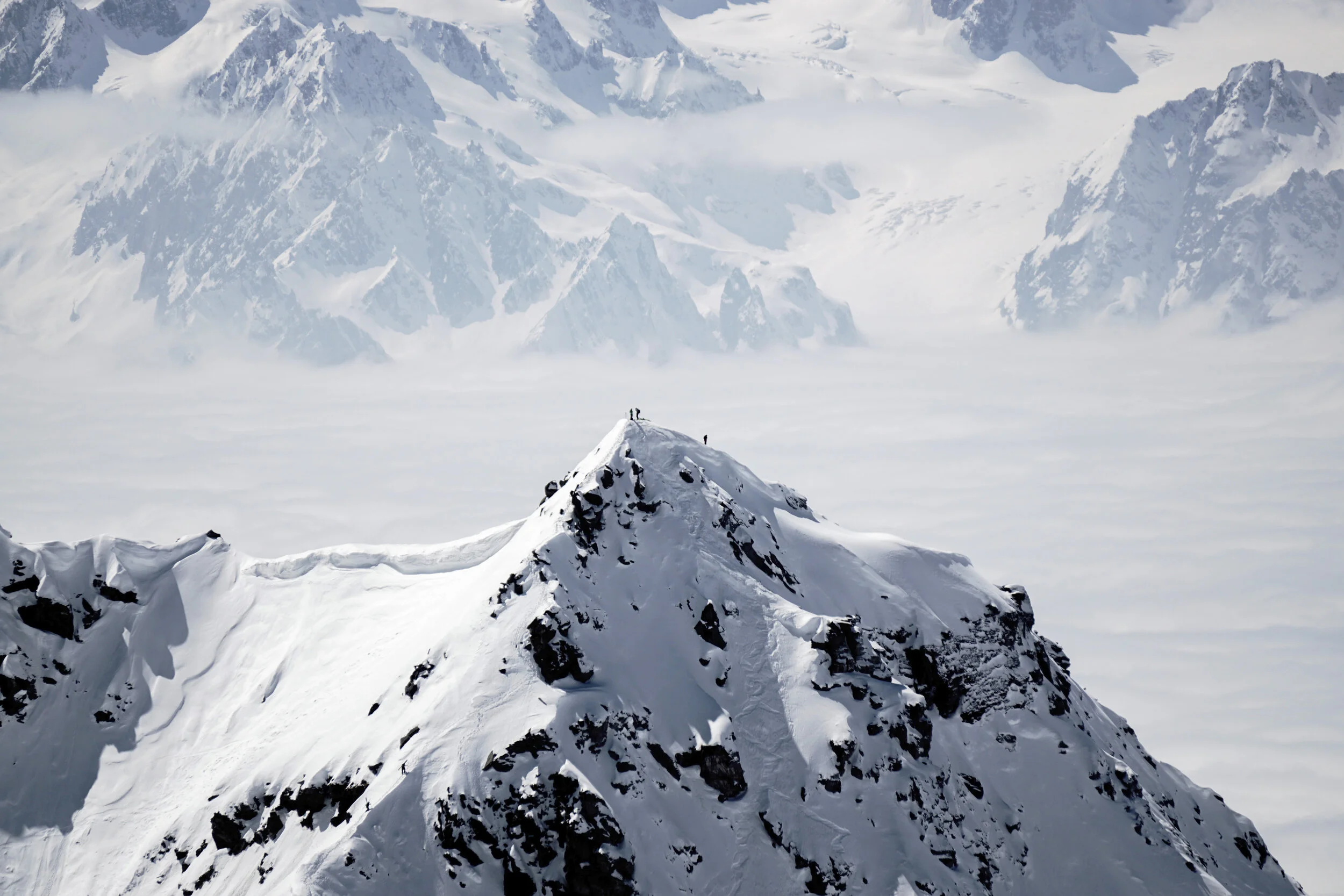 PMI_Summit_2020 (1).jpg