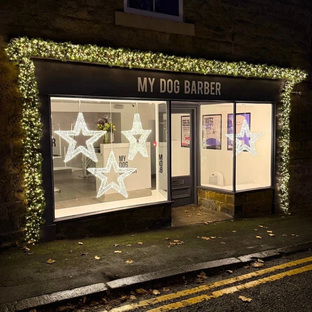 🎄 2025 Christmas Window at our Low Fell Salon 🎄

Let us know what you think in the comments? ❤️

#lowfell #christmas #christmaswindow #christmasdecorations #doggrooming