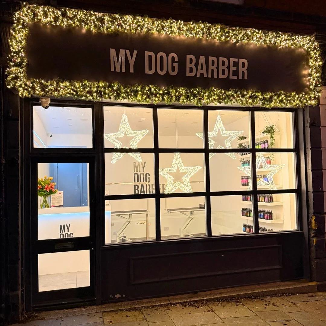 Have you seen Christmas at our Jesmond Salon yet? 
You can&rsquo;t really miss it from the coast road ✨ ❤️

#jesmond #jesmonddene #newcastle #doggrooming #christmaslights #christmaswindow