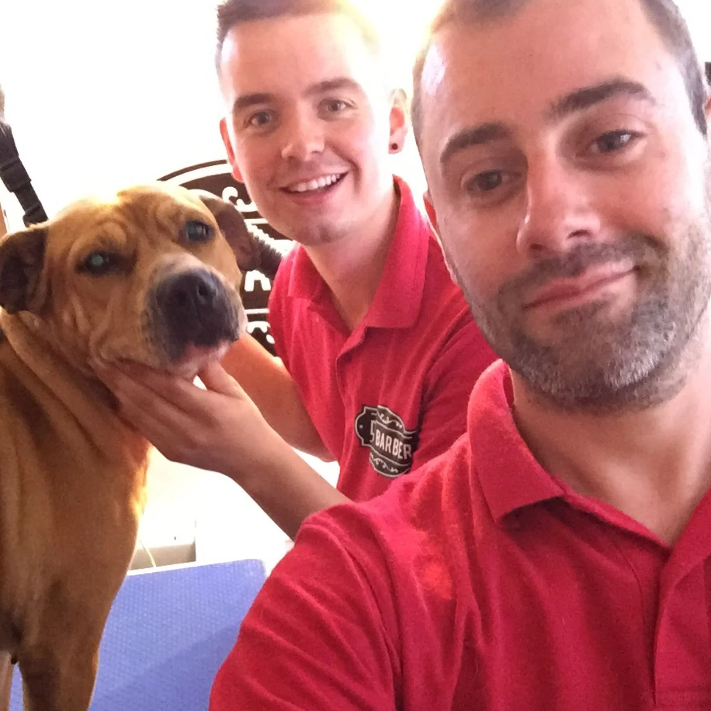 11 years ago, My Dog Barber began as a single self-converted van, just the two of us, a set of clippers, and a big dream.

Today, we&rsquo;re an award-winning business serving communities across Tyne &amp; Wear and County Durham, with 5 salons, a tra