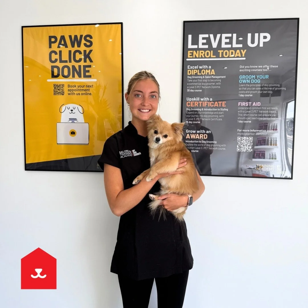 ⭐ Meet Jessie - our new dog grooming apprentice ⭐️

She&rsquo;s currently undergoing intensive training guided by Tutors Brooke &amp; Nina from @mydogbarber.trainingacademy before joining the team in our Jesmond Salon.

Over the next 12 months, she&r