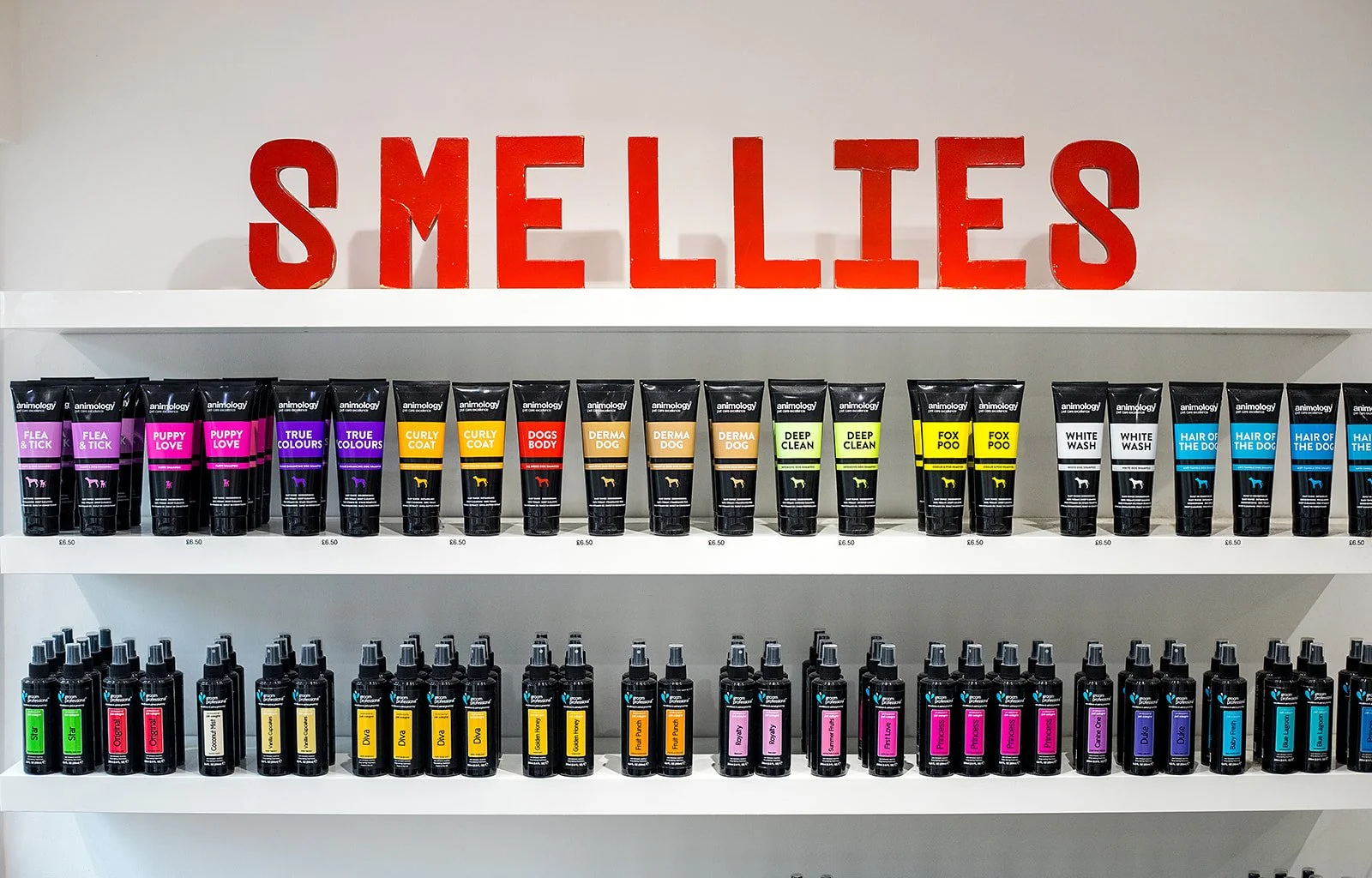 Low Fell Salon — Dog & Cat Grooming in Gateshead & Chester le Street