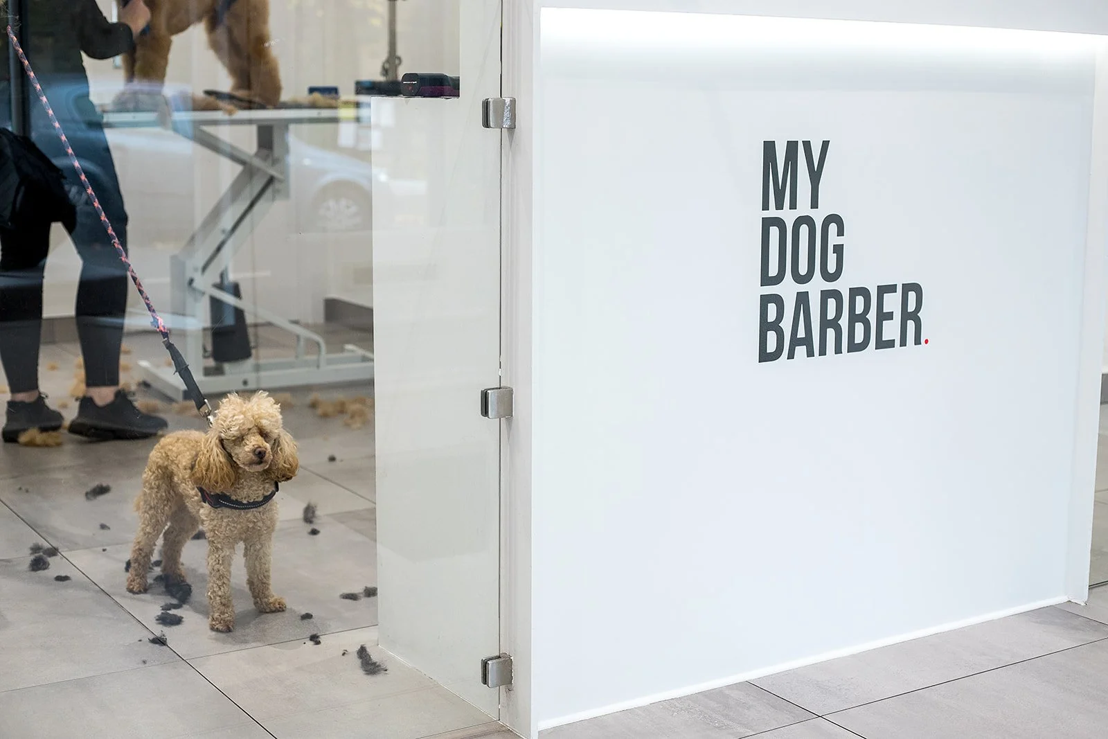 Pet Grooming Course Singapore | Inspiration School of Pet Grooming - ISPG