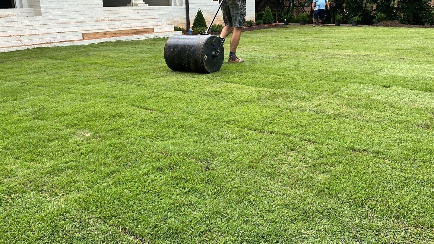 3 reasons why sod is a great option: 

1. Sod provides an instant, mature lawn without the long wait for grass seeds to grow. It is a convenient choice for busy homeowners who want a quick and easy way to improve the appearance of their yard. 

2. So