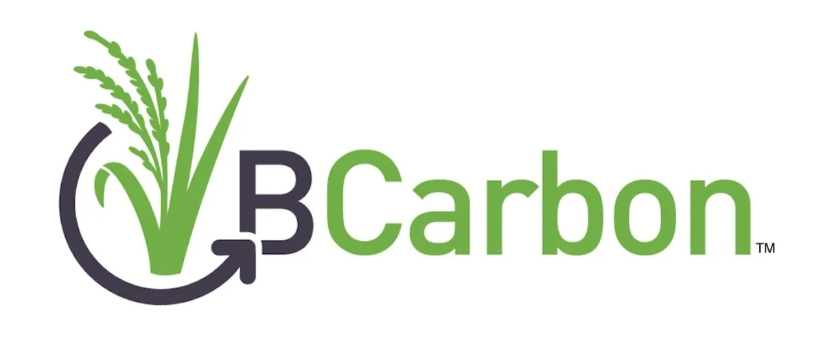 Bcarbon logo