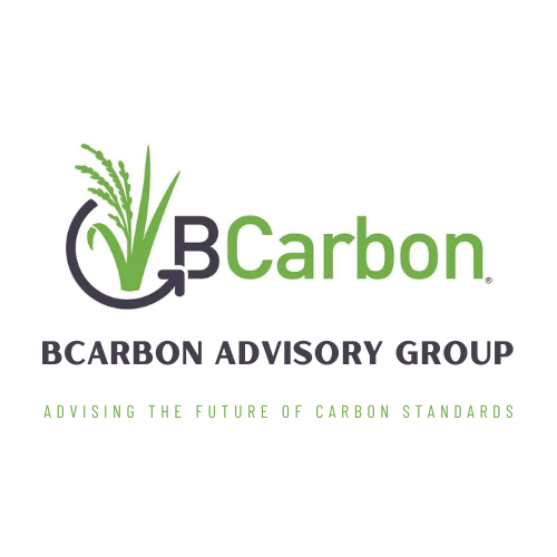 BCarbon Advisory Group Meeting