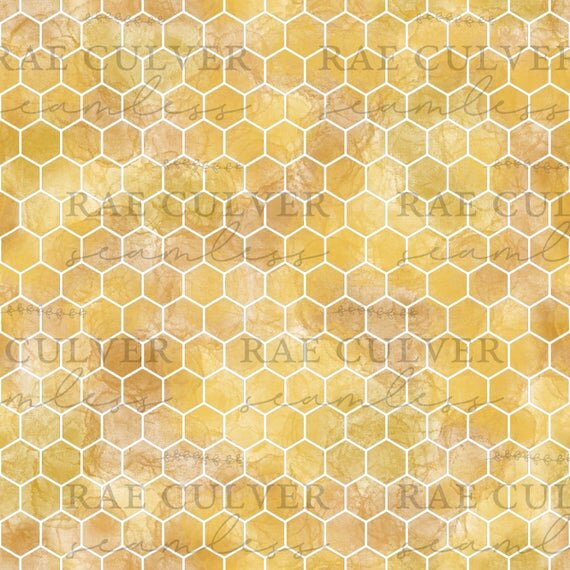 https://i.etsystatic.com/30674780/r/il/67ebe3/3181787216/il_570xN.3181787216_b8l2.jpg