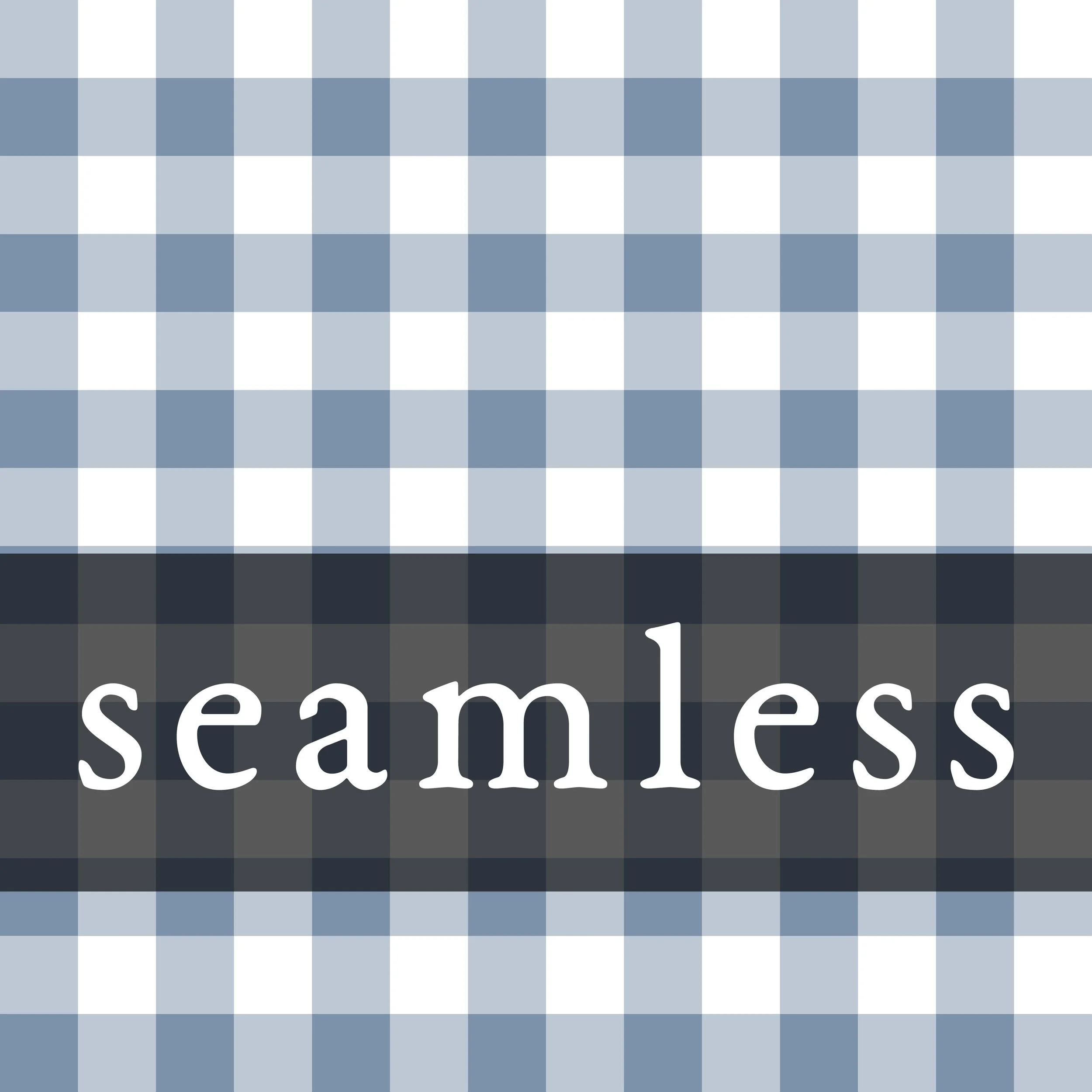 Pic Gingham Summer Denim.jpg