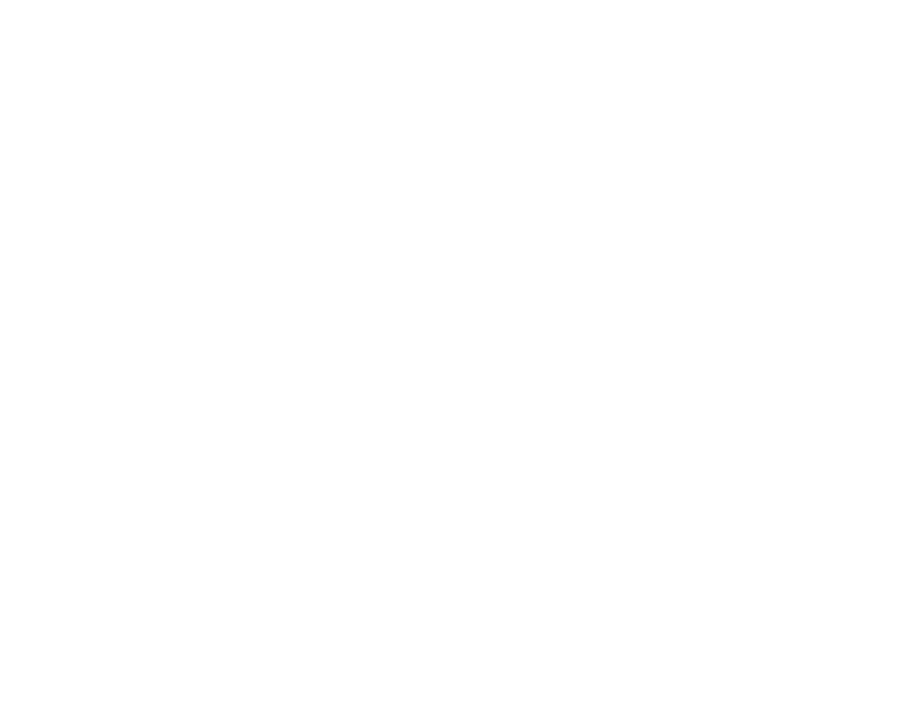 K&amp;N Honey